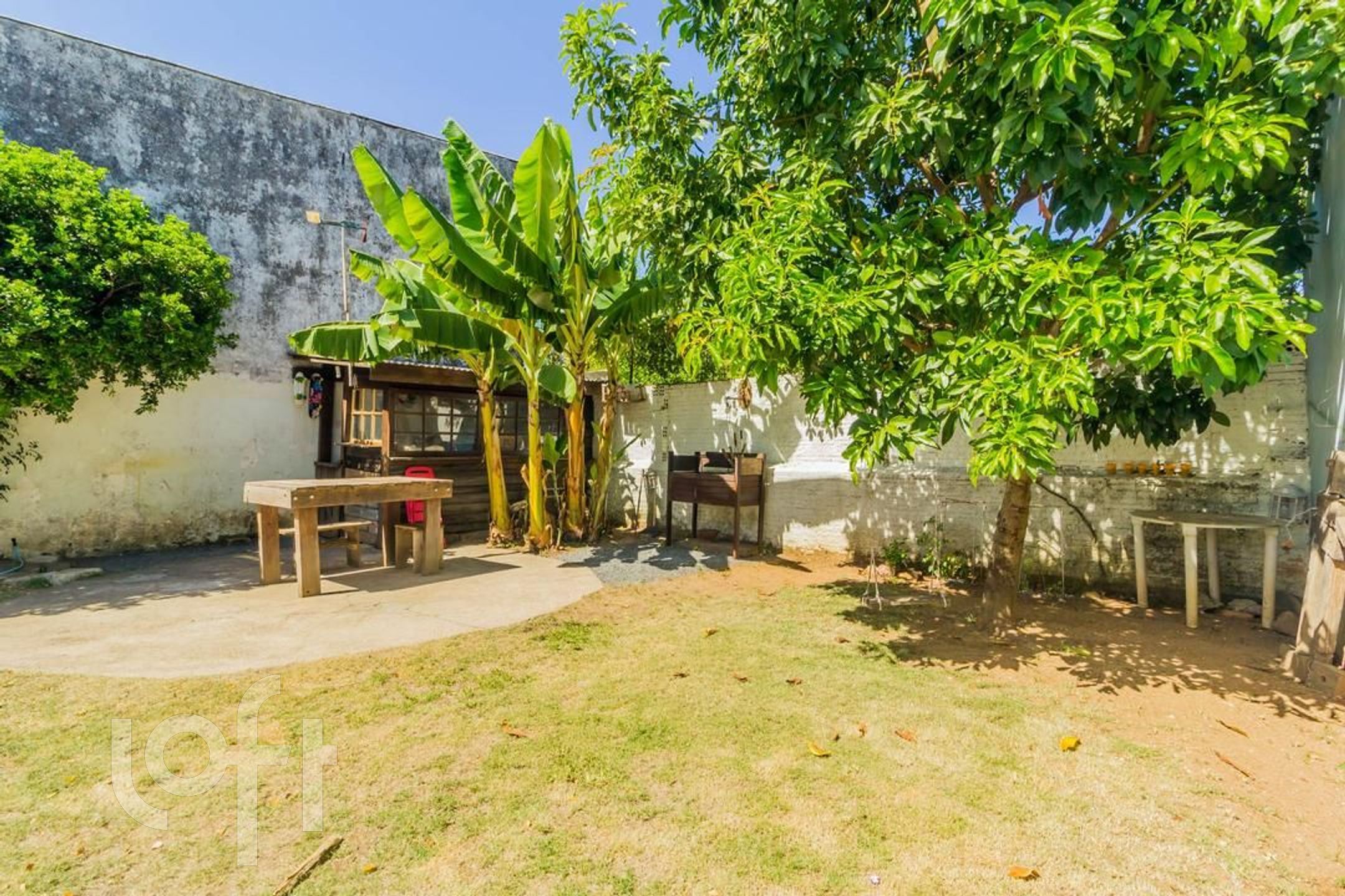 Imagem da propriedade 10