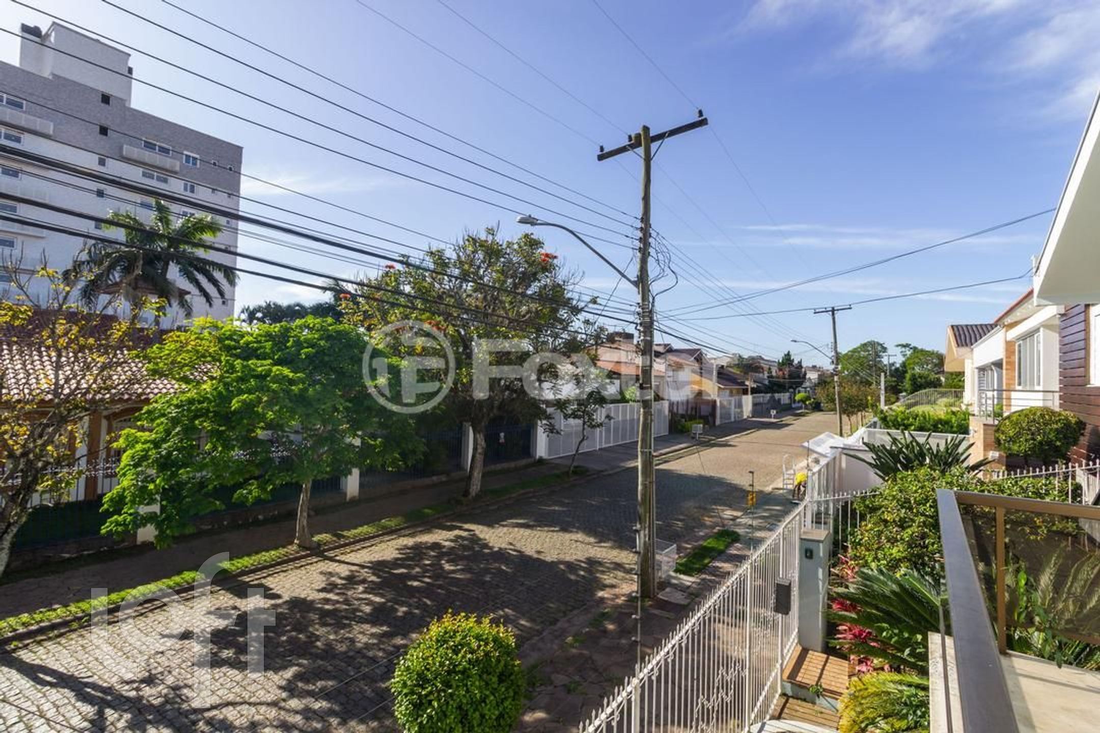 Imagem da propriedade 6