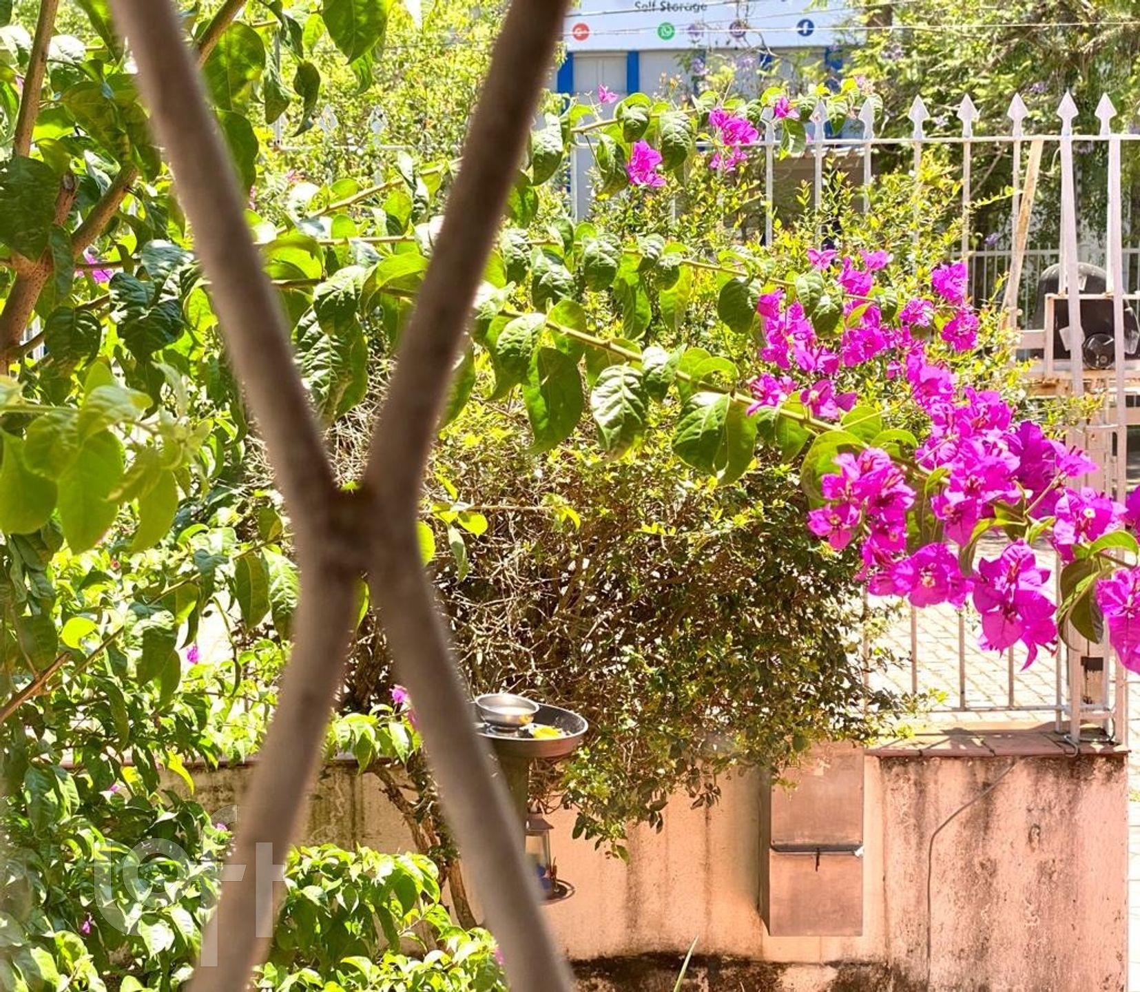 Imagem da propriedade 10