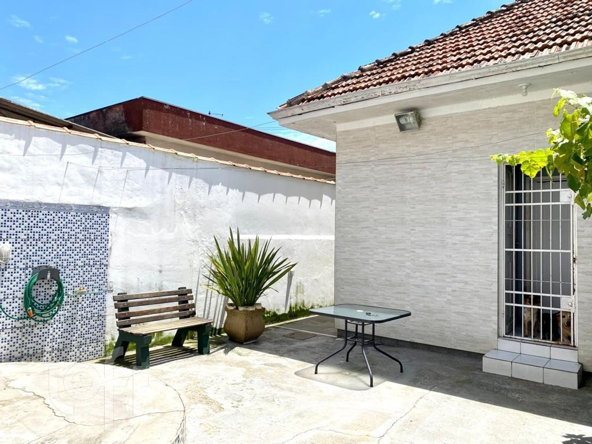 Imagem da propriedade 5