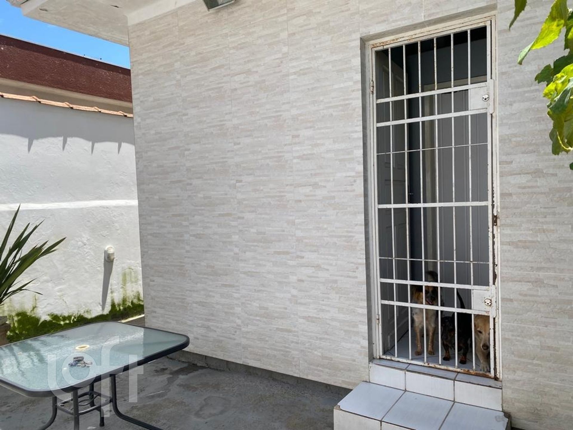 Imagem da propriedade 28