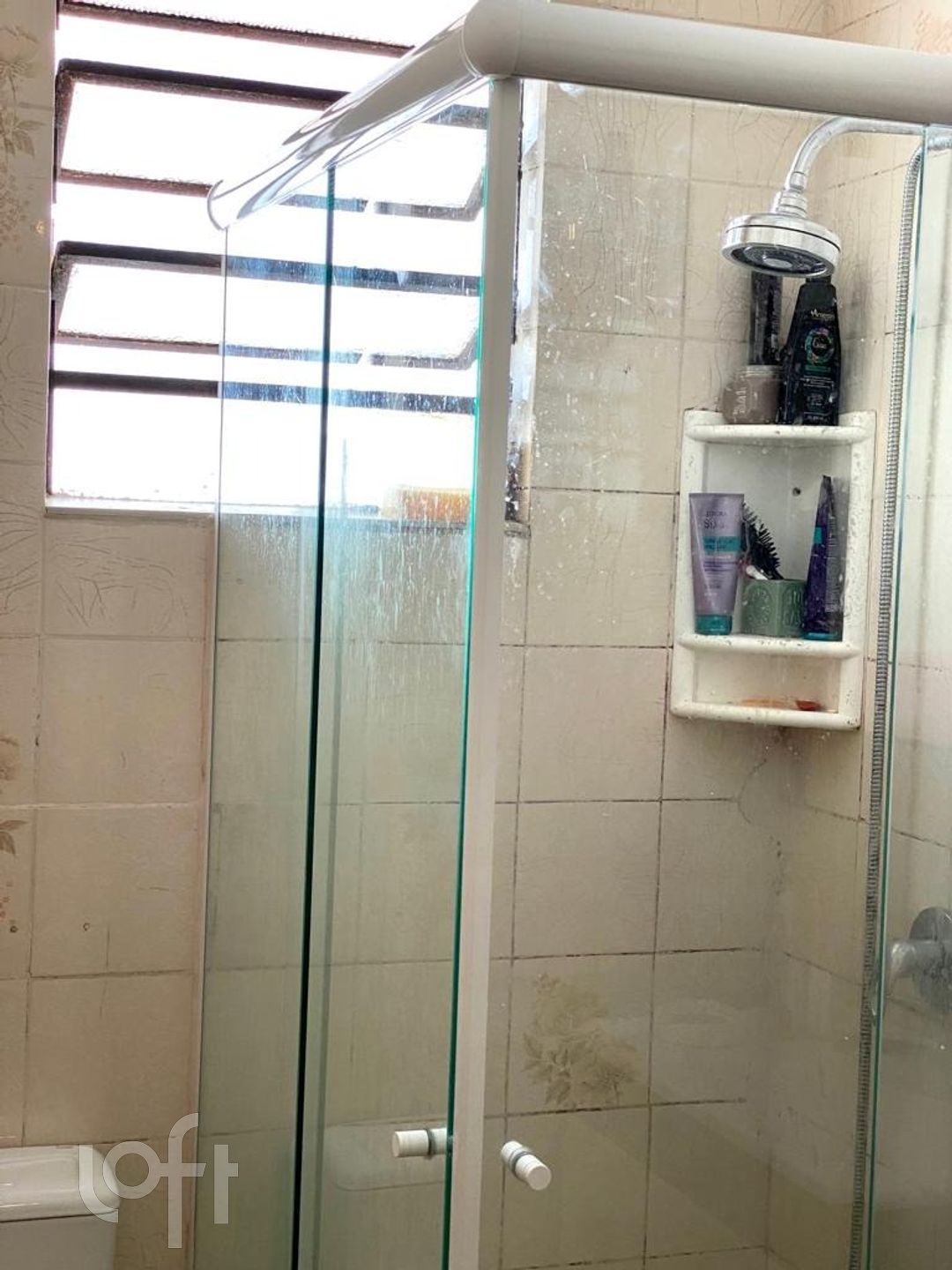 Imagem da propriedade 15