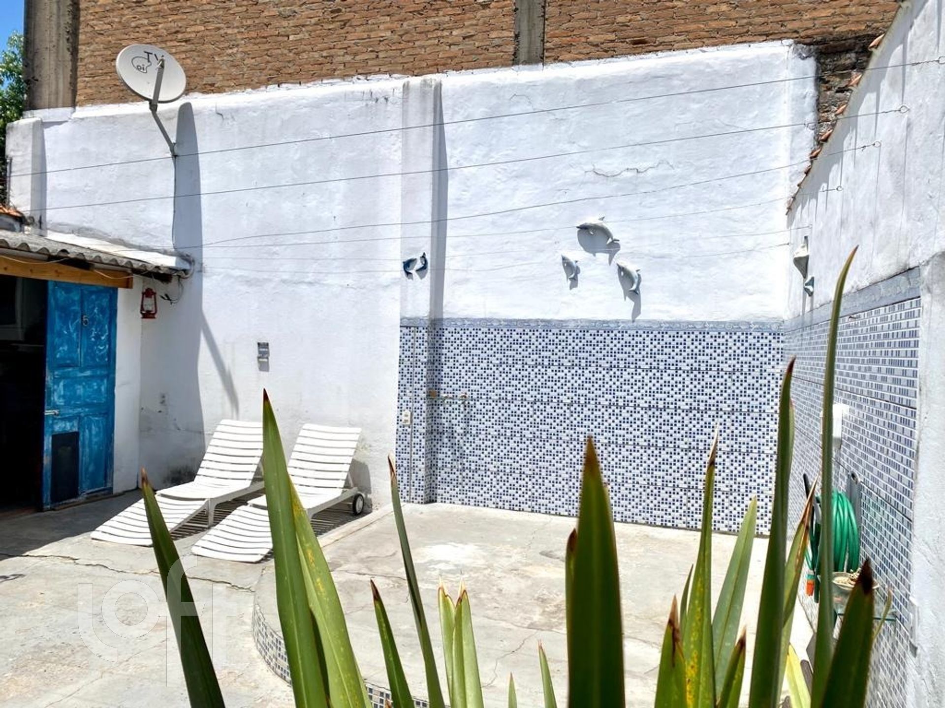 Imagem da propriedade 36