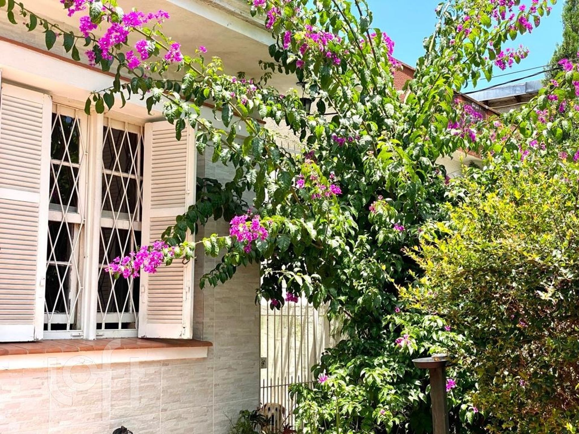 Imagem da propriedade 7