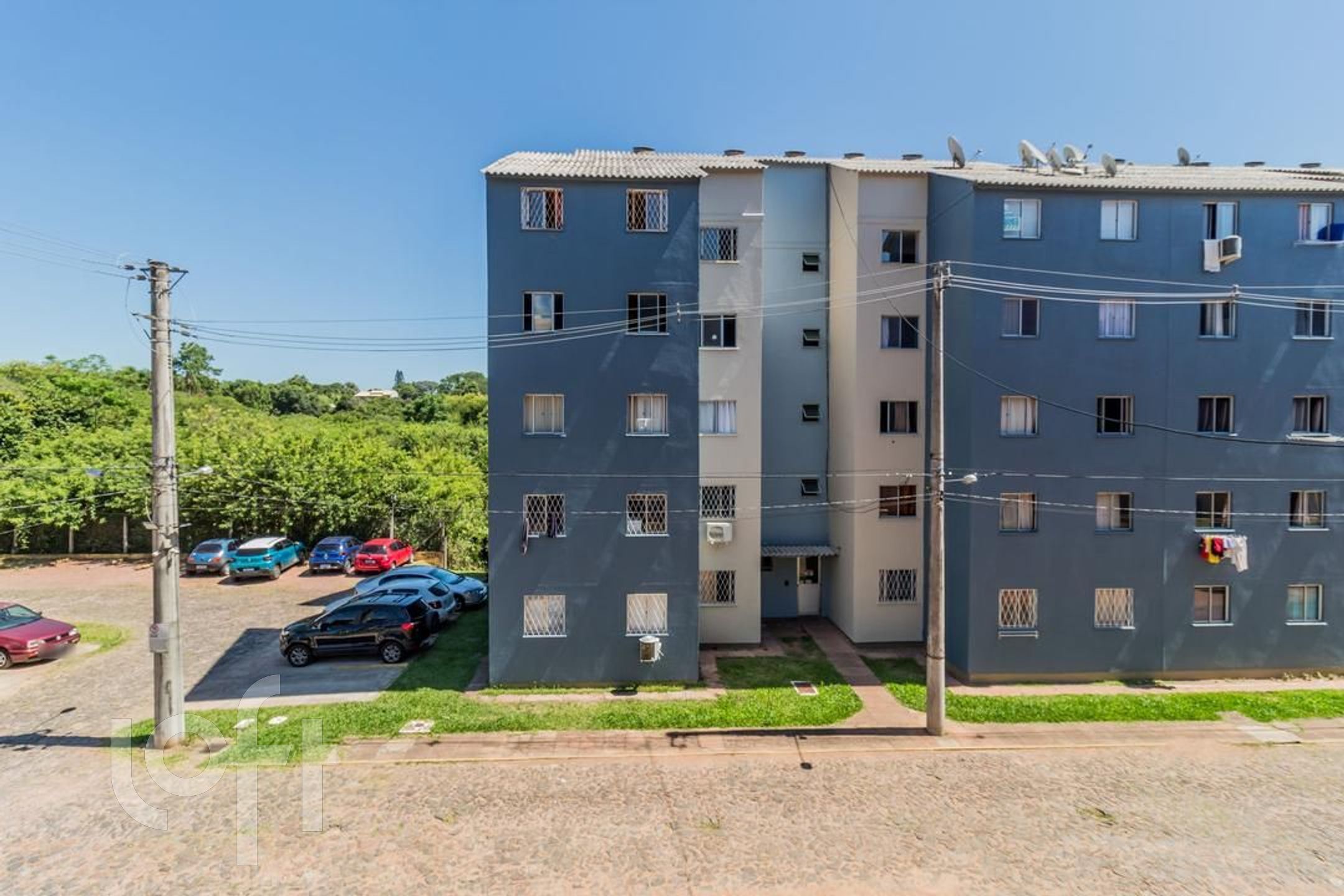 Imagem da propriedade 7