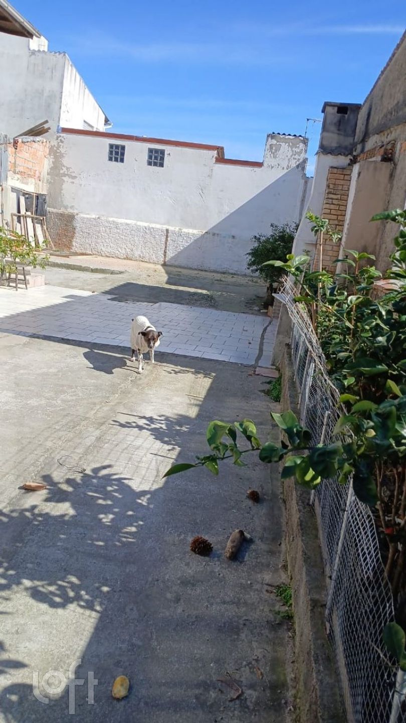 Imagem da propriedade 20