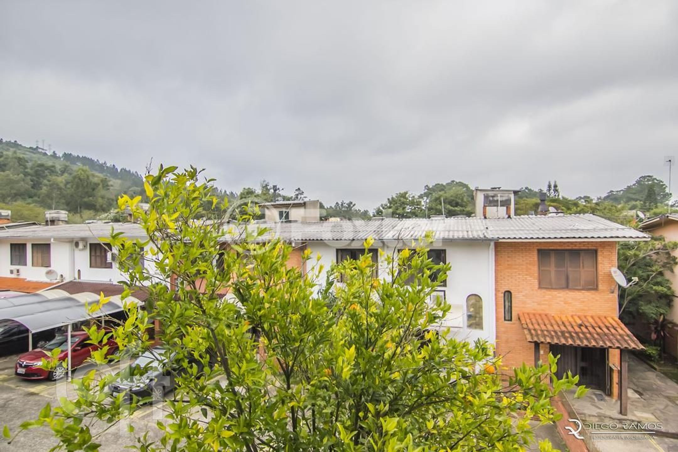 Imagem da propriedade 17