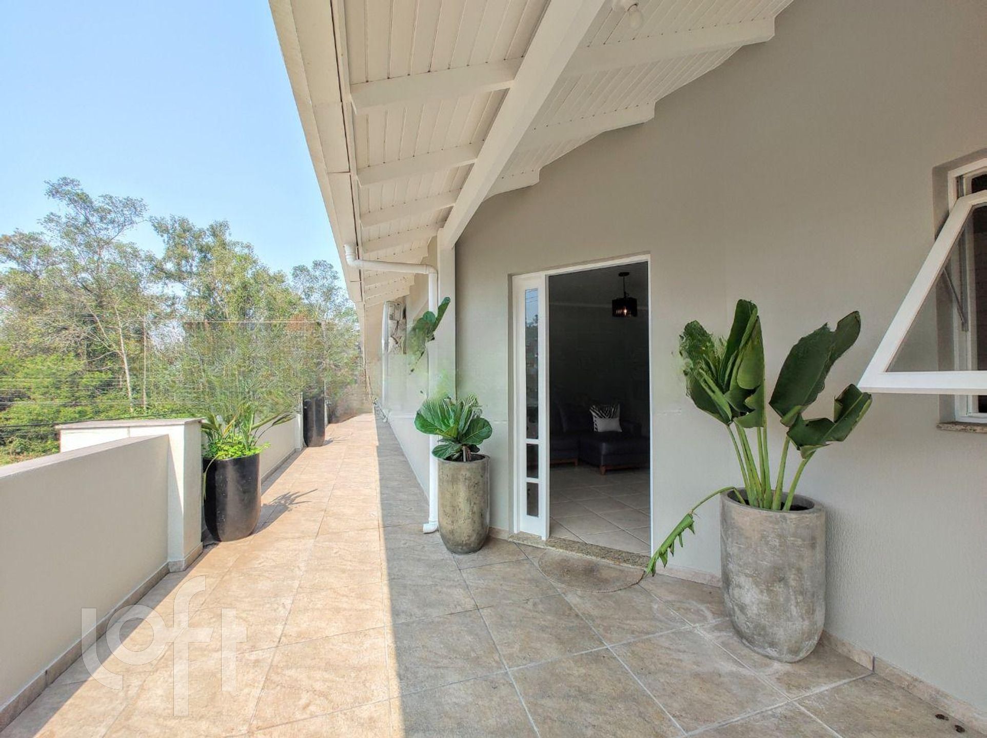 Imagem da propriedade 36