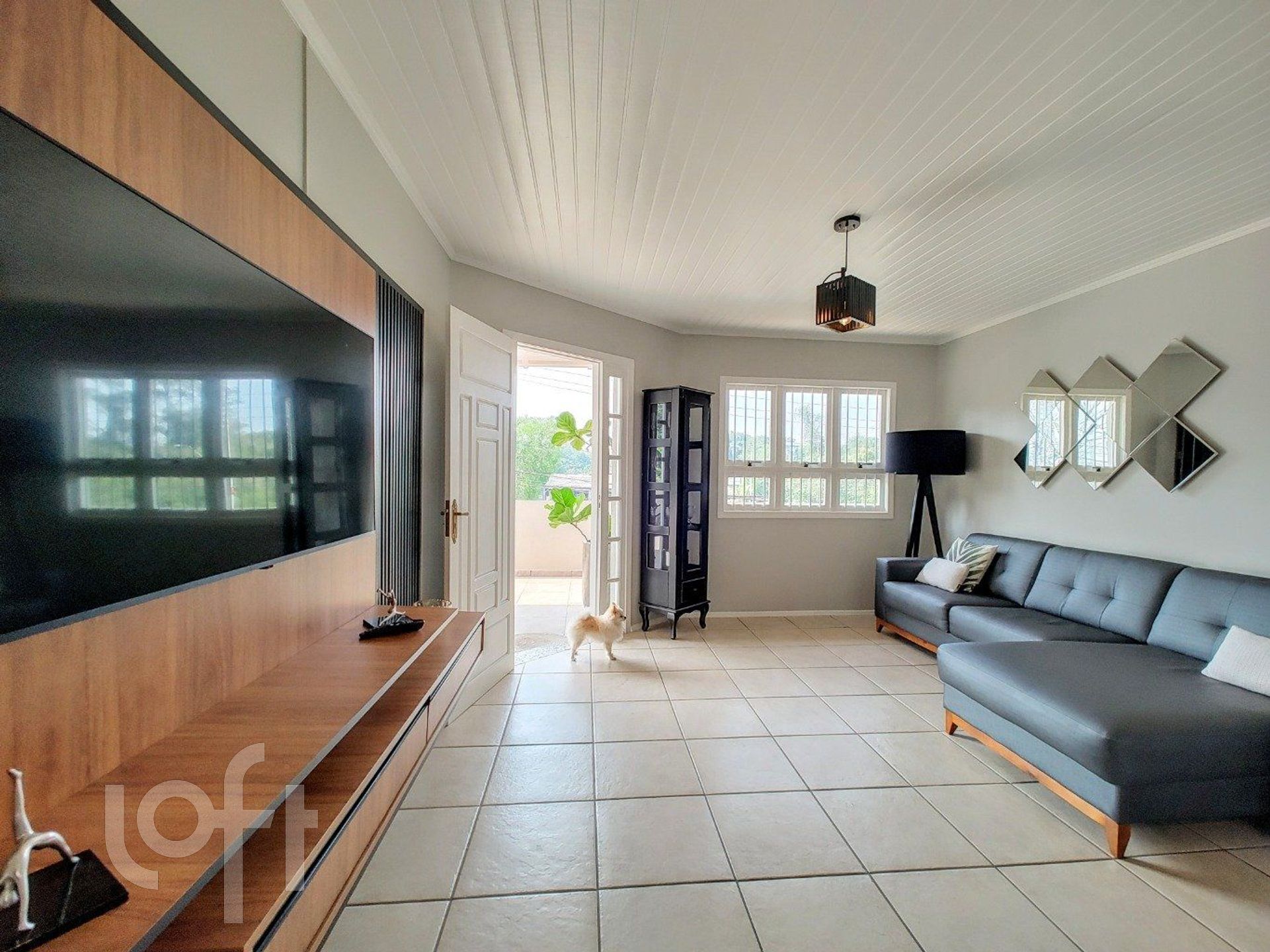 Imagem da propriedade 12