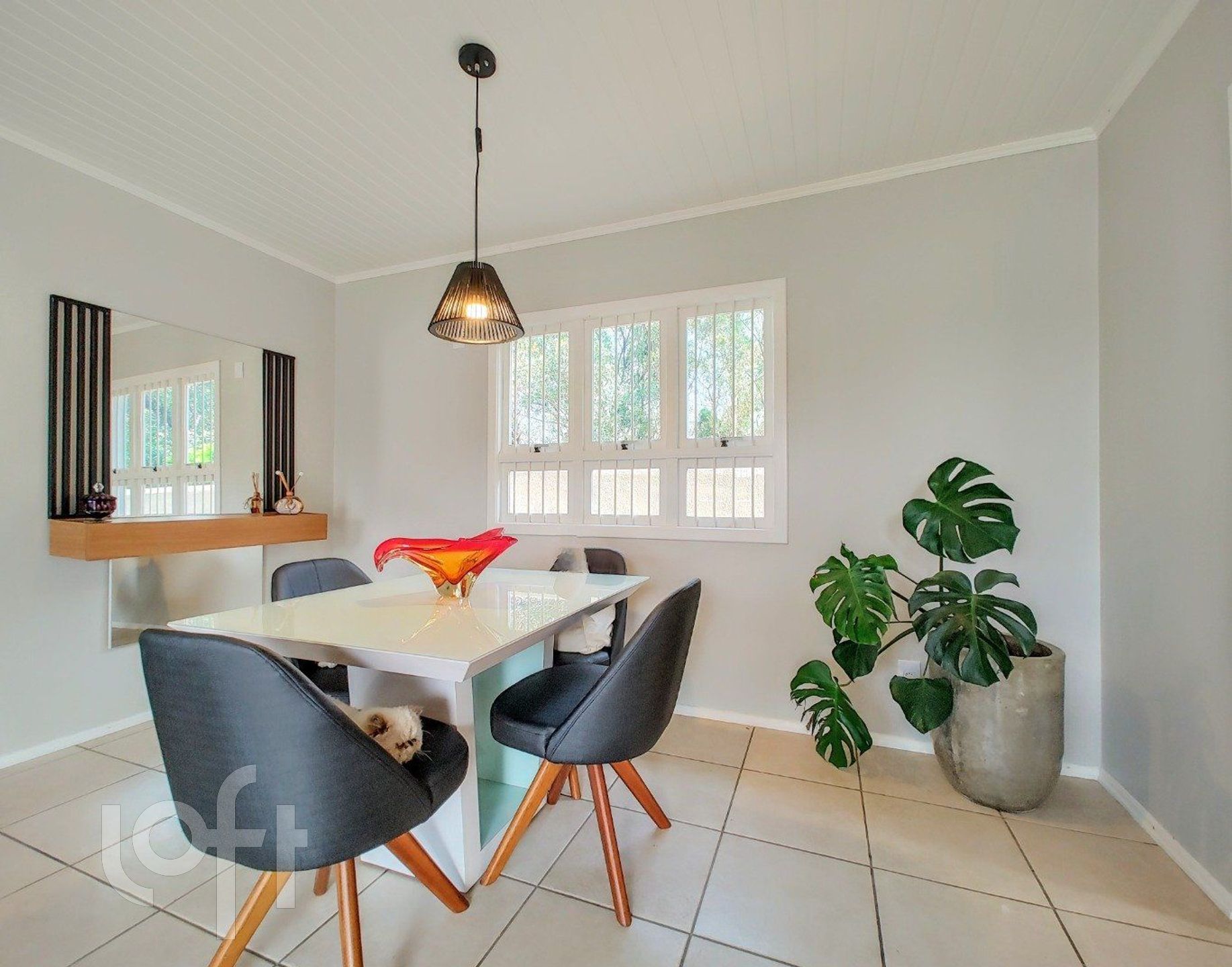 Imagem da propriedade 15