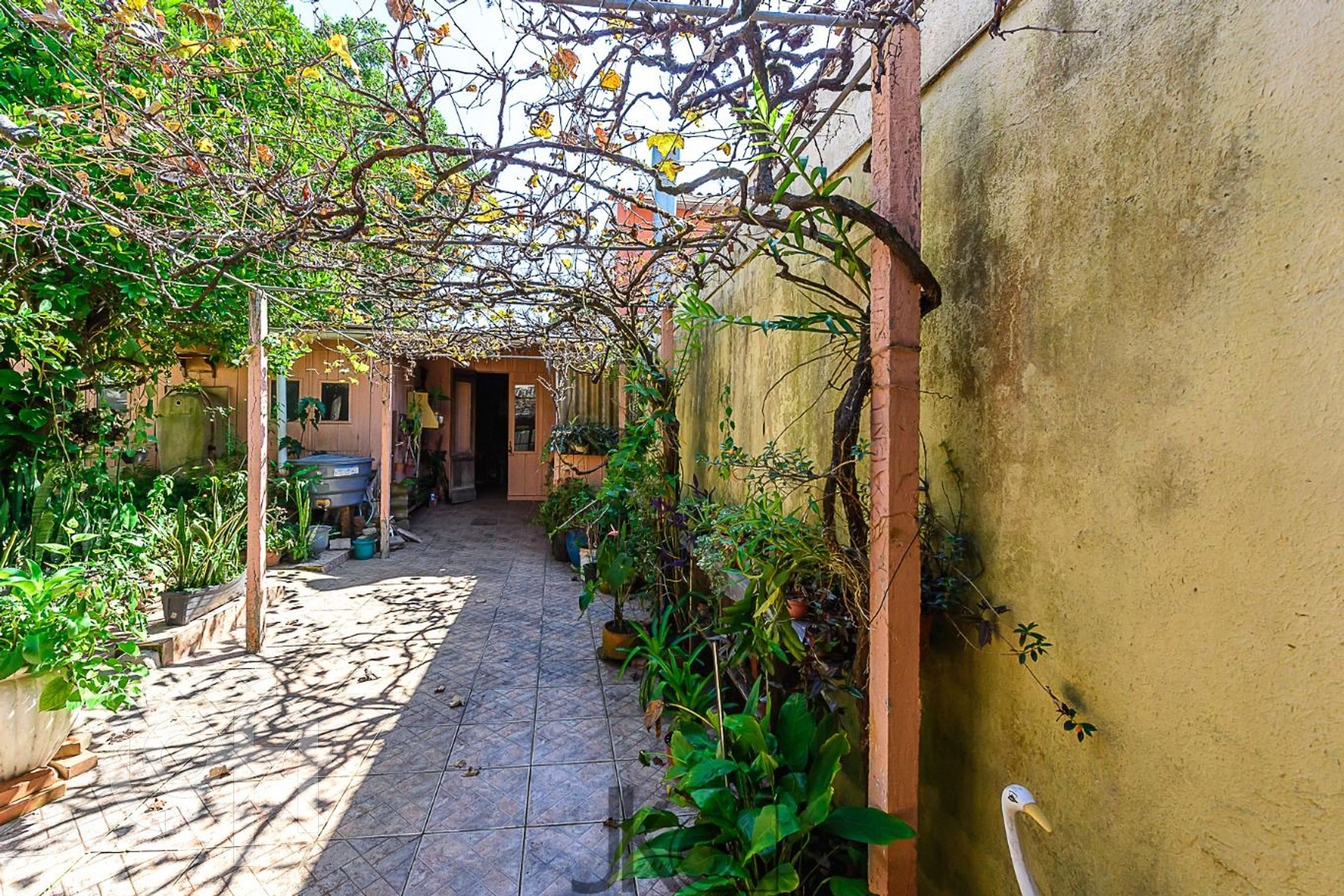 Imagem da propriedade 12