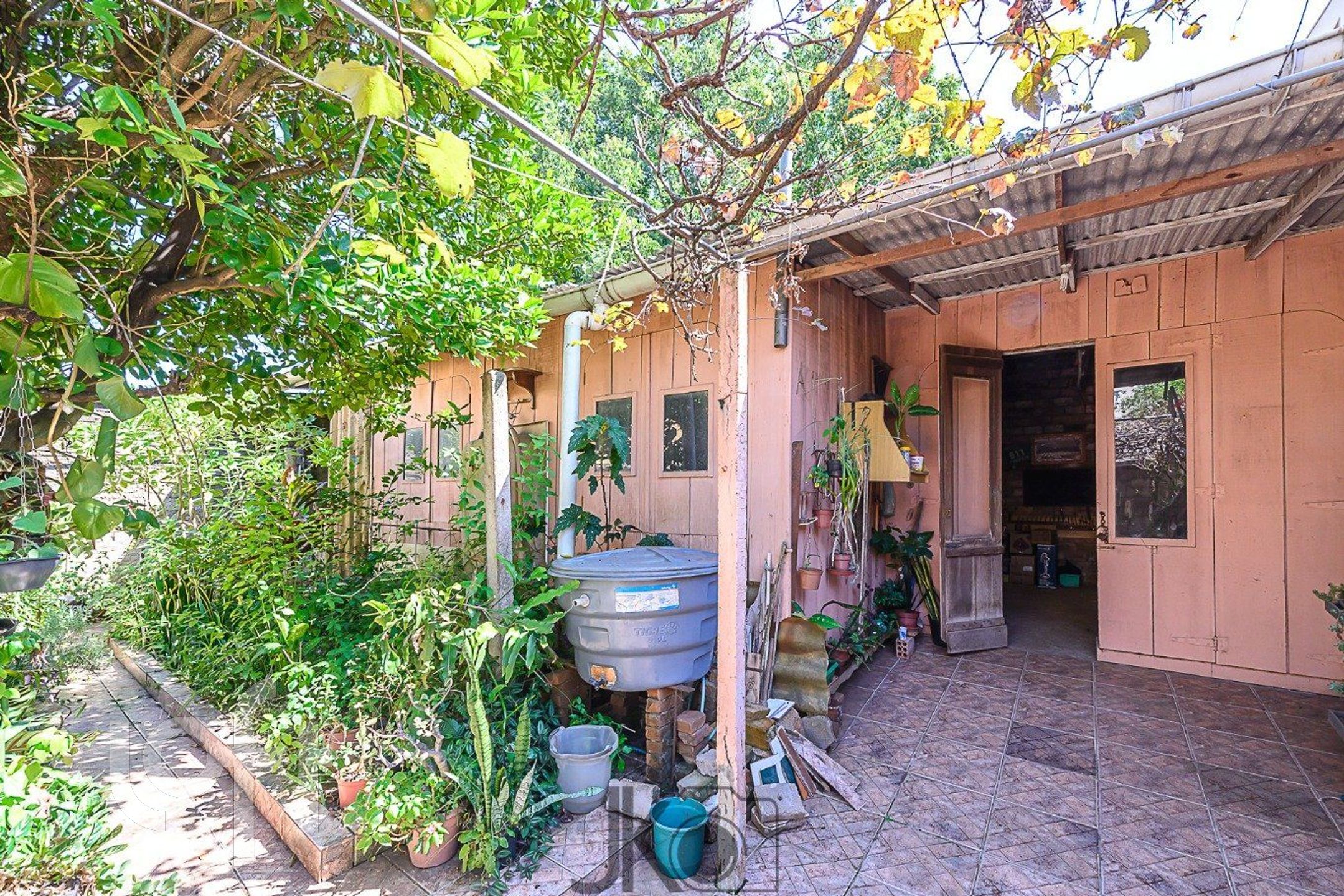 Imagem da propriedade 13