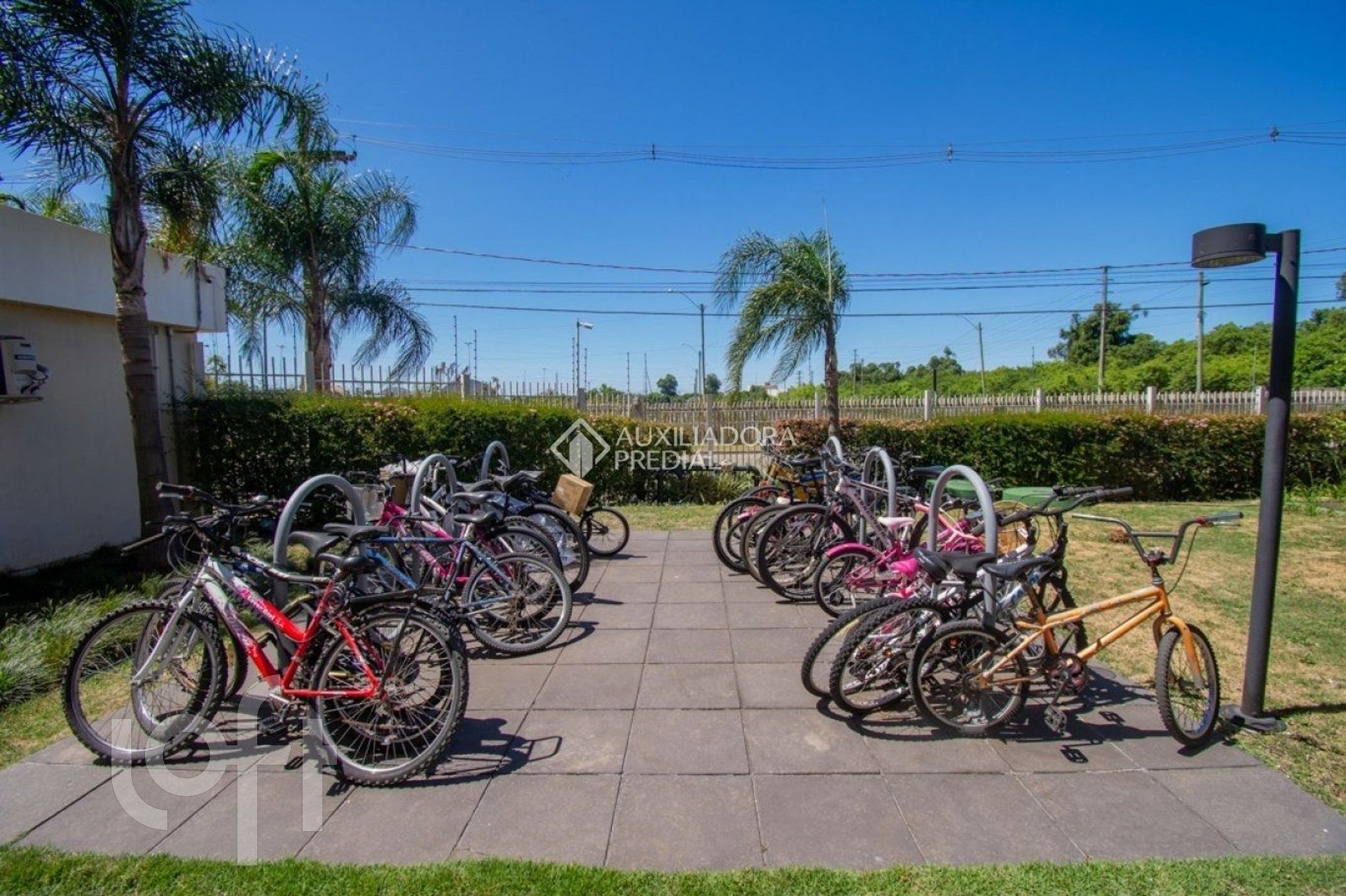 Imagem da propriedade 25