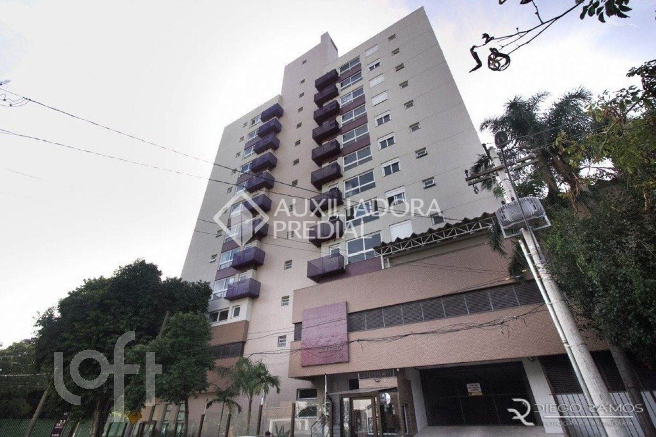 Imagem da propriedade 5