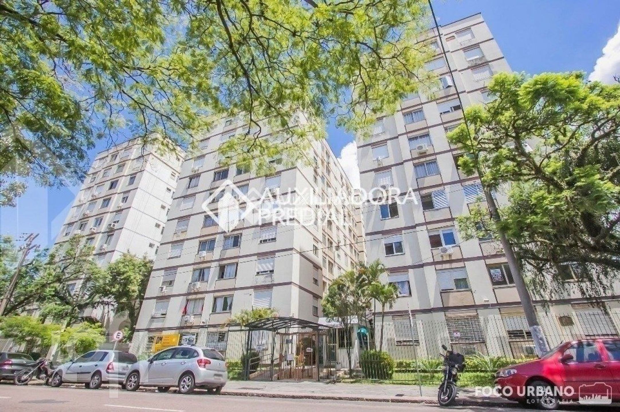 Imagem da propriedade 3