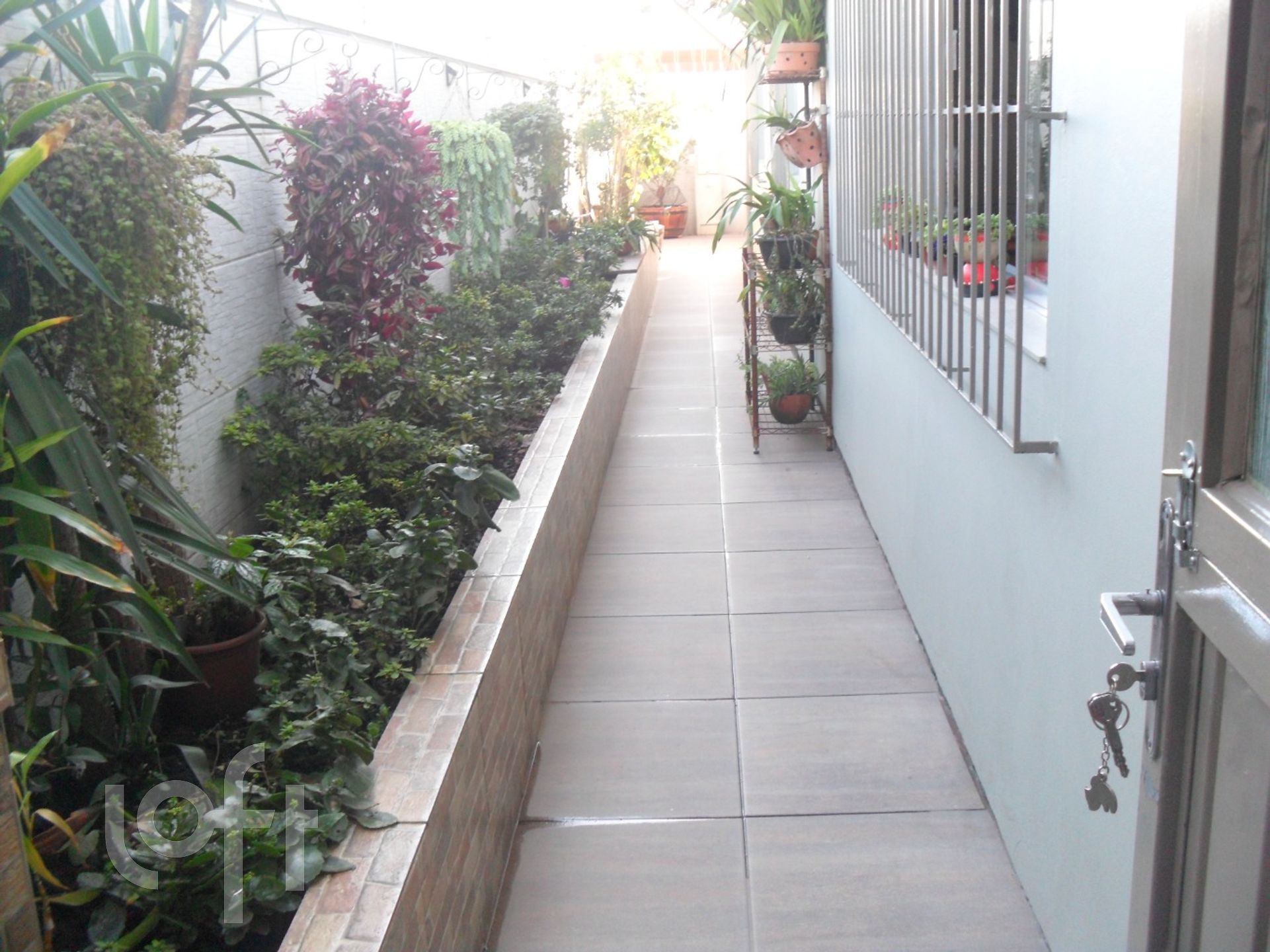 Imagem da propriedade 22