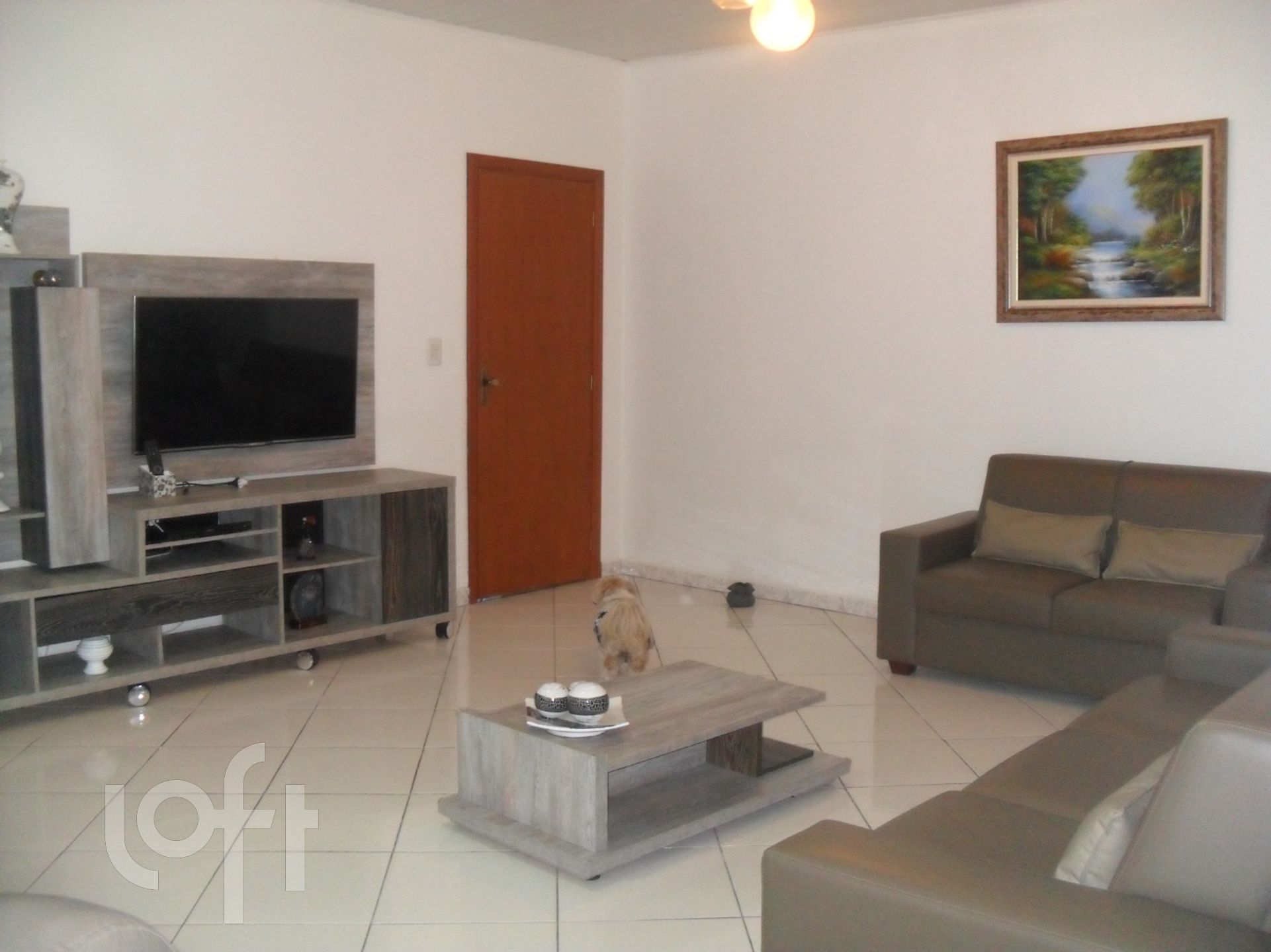 Imagem da propriedade 16