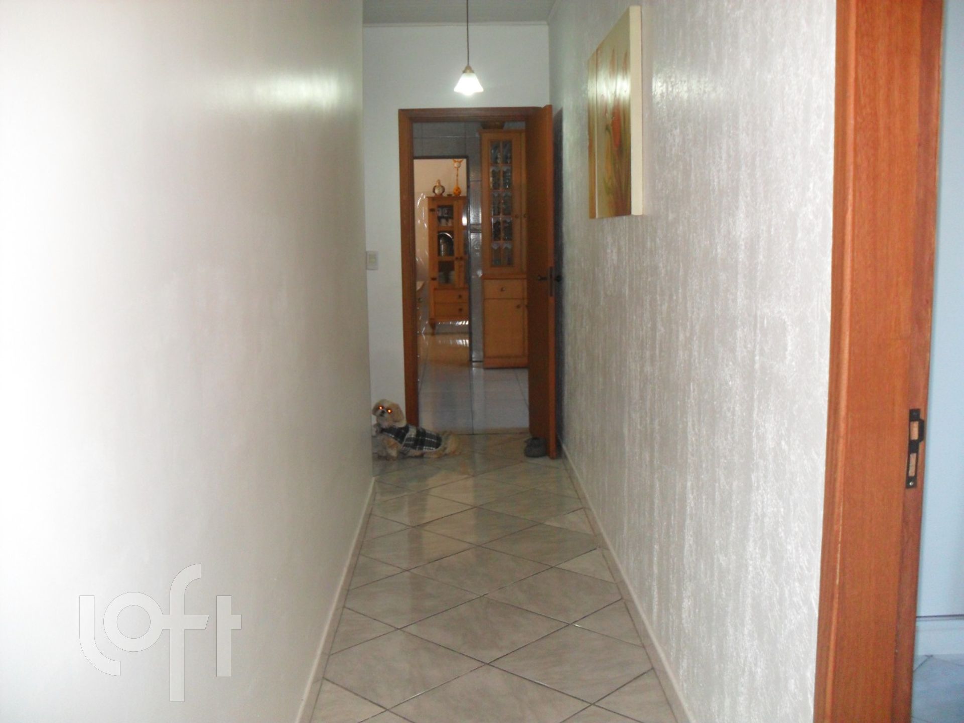 Imagem da propriedade 10