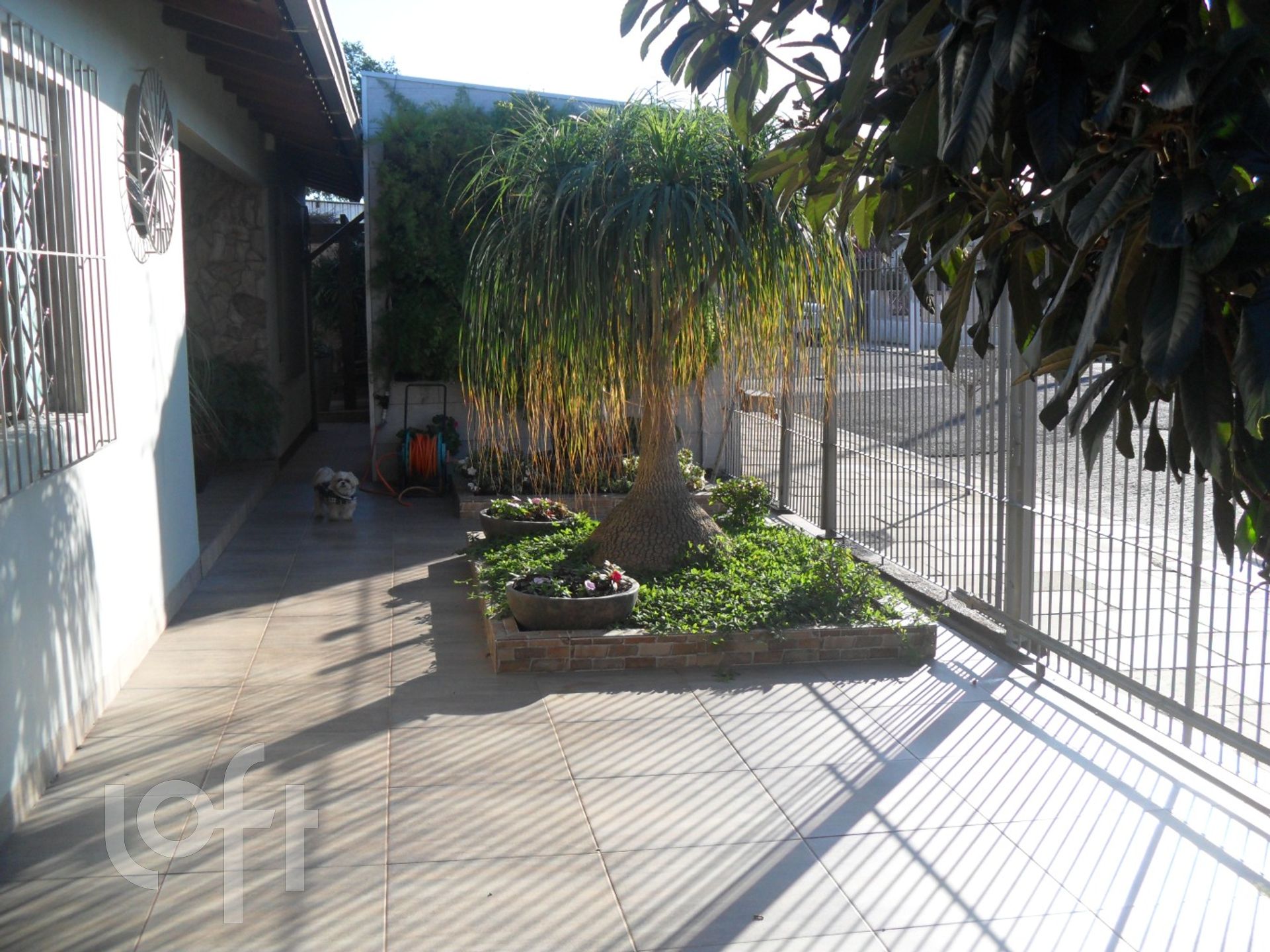 Imagem da propriedade 28