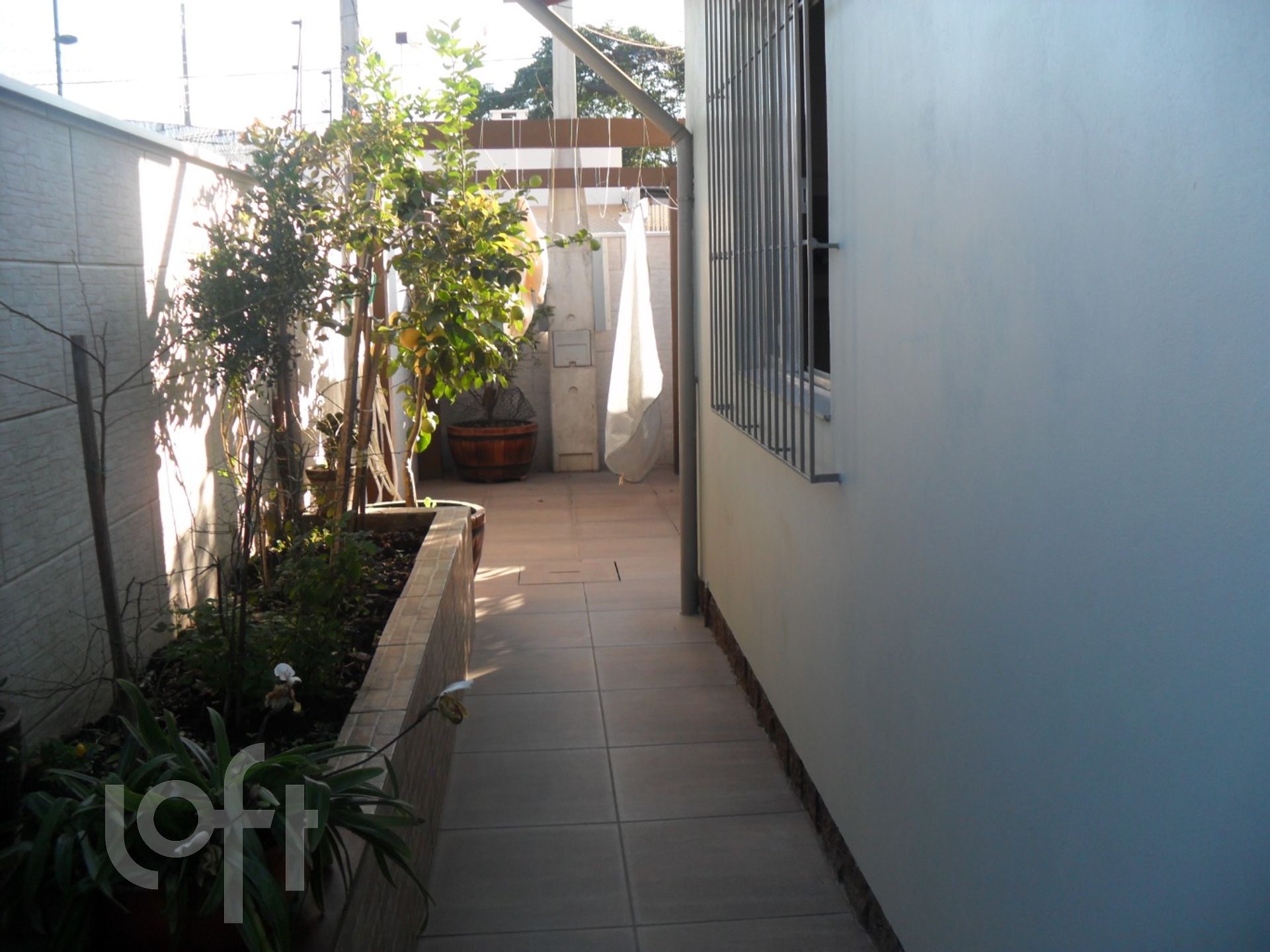 Imagem da propriedade 24