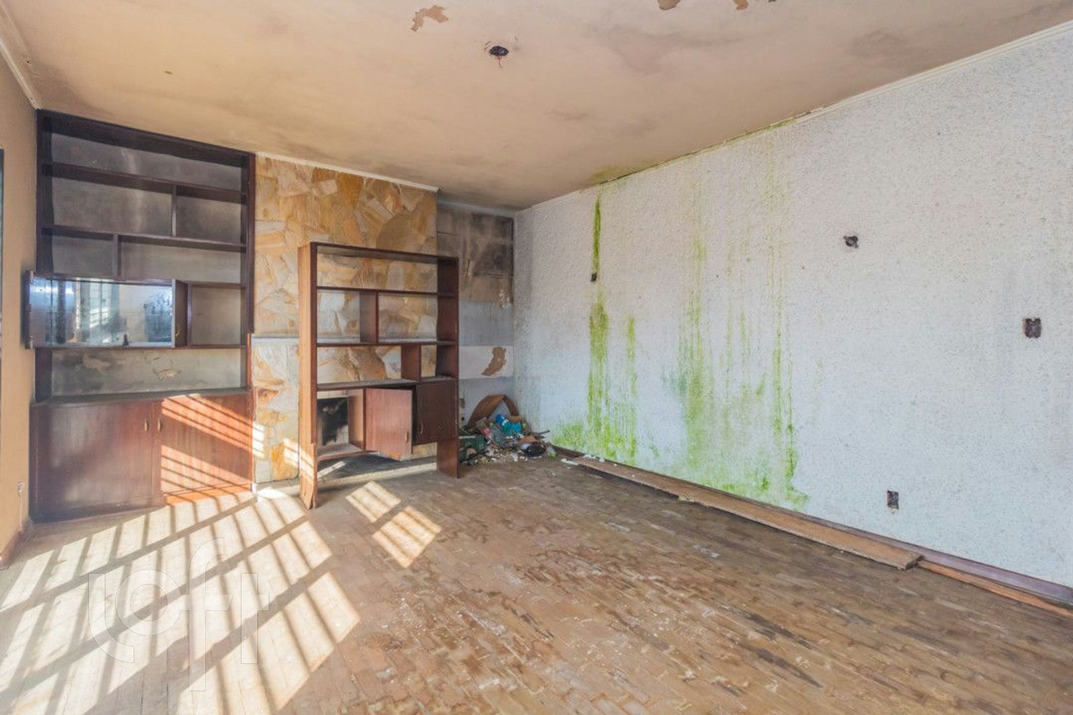 Imagem da propriedade 6