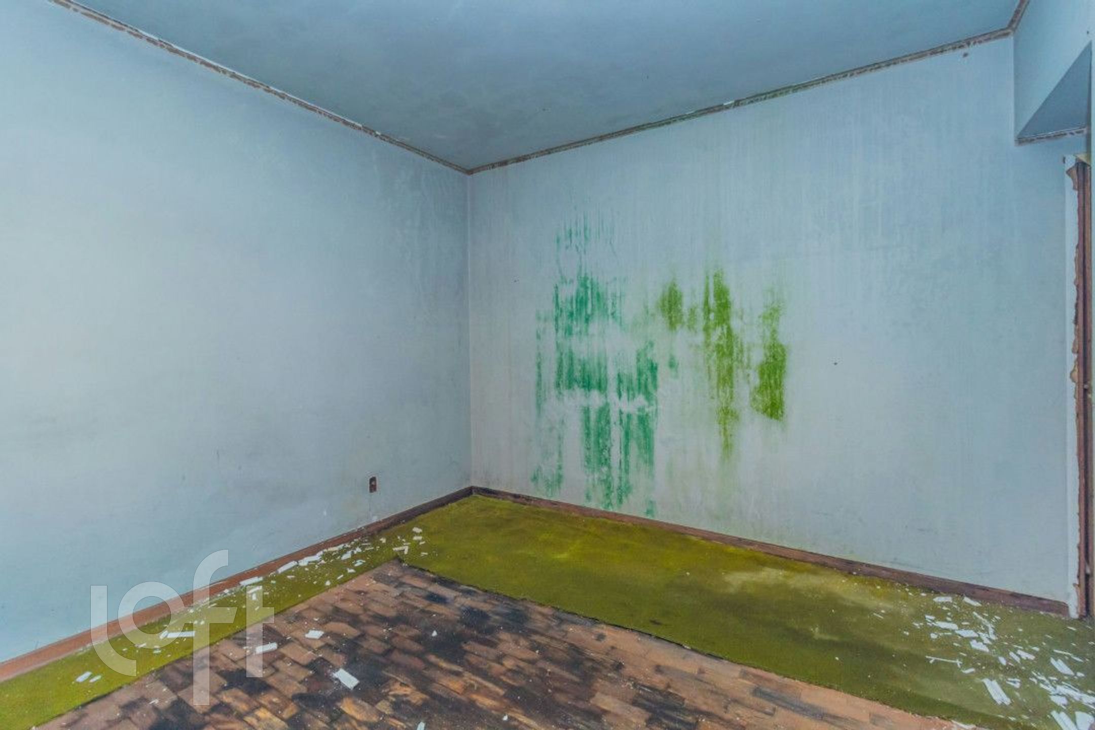 Imagem da propriedade 16