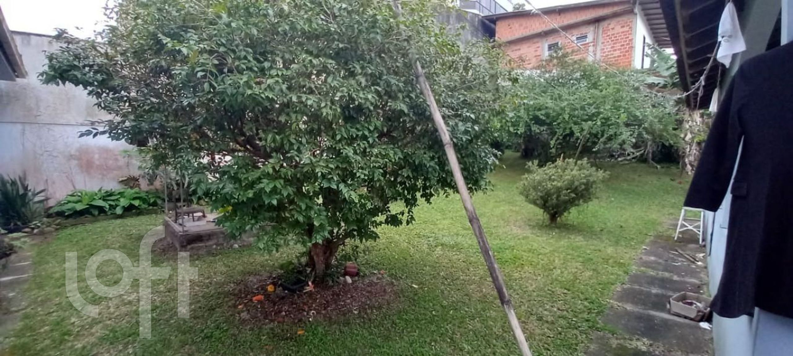 Imagem da propriedade 10
