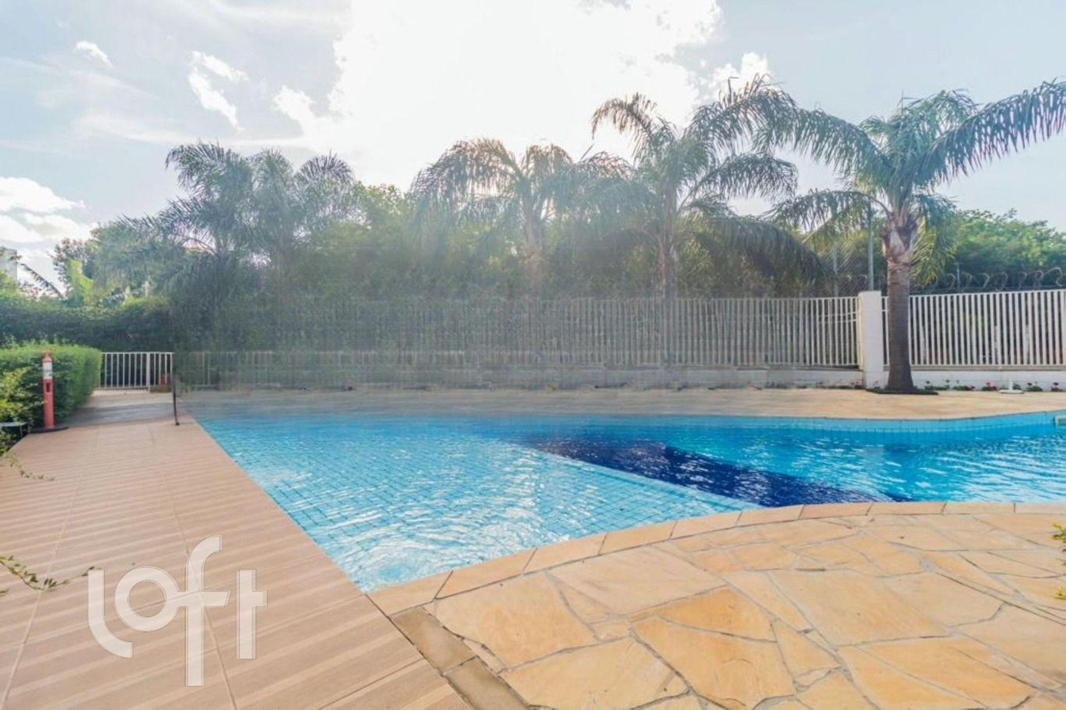 Imagem da propriedade 22