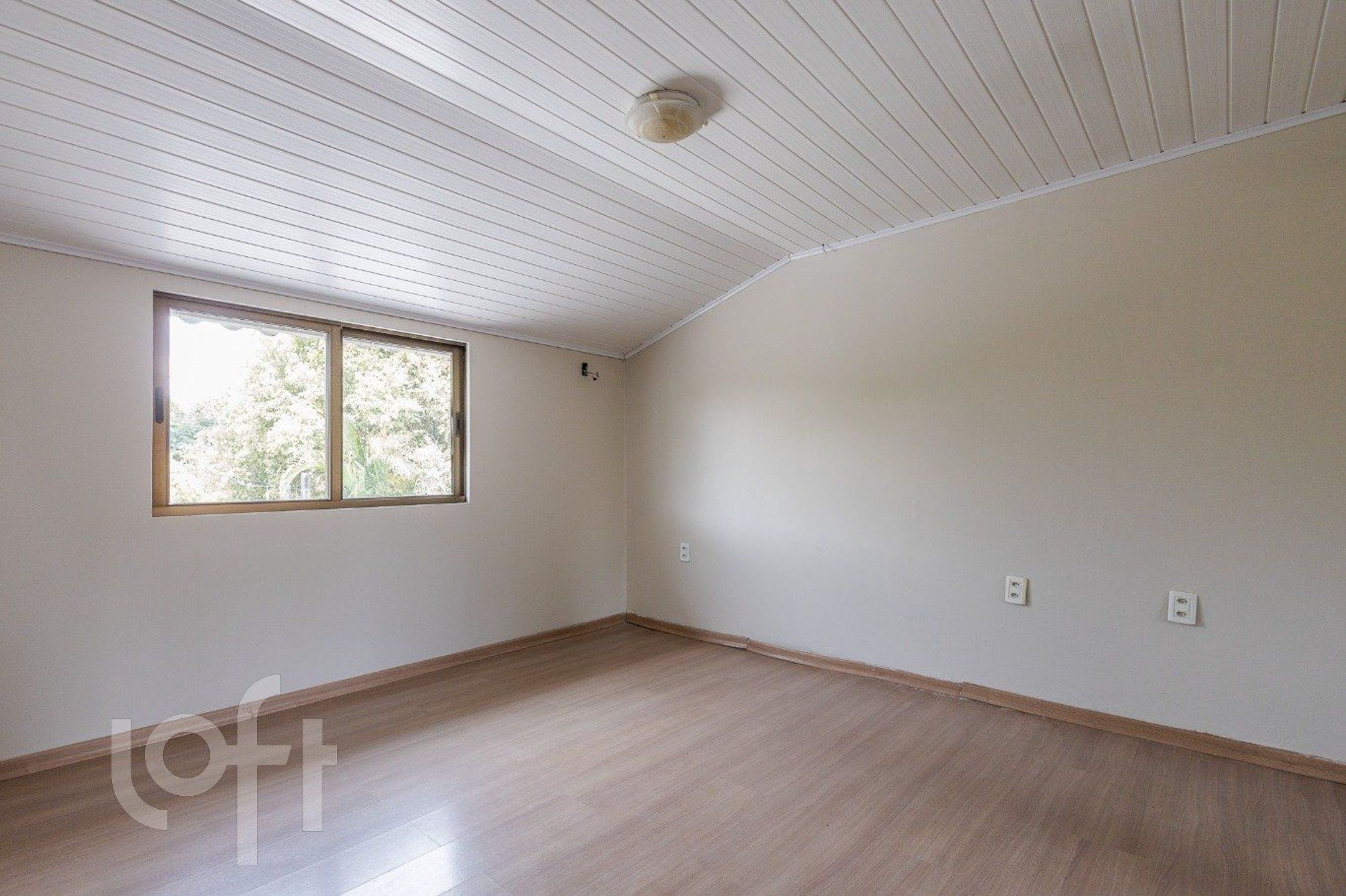 Imagem da propriedade 15