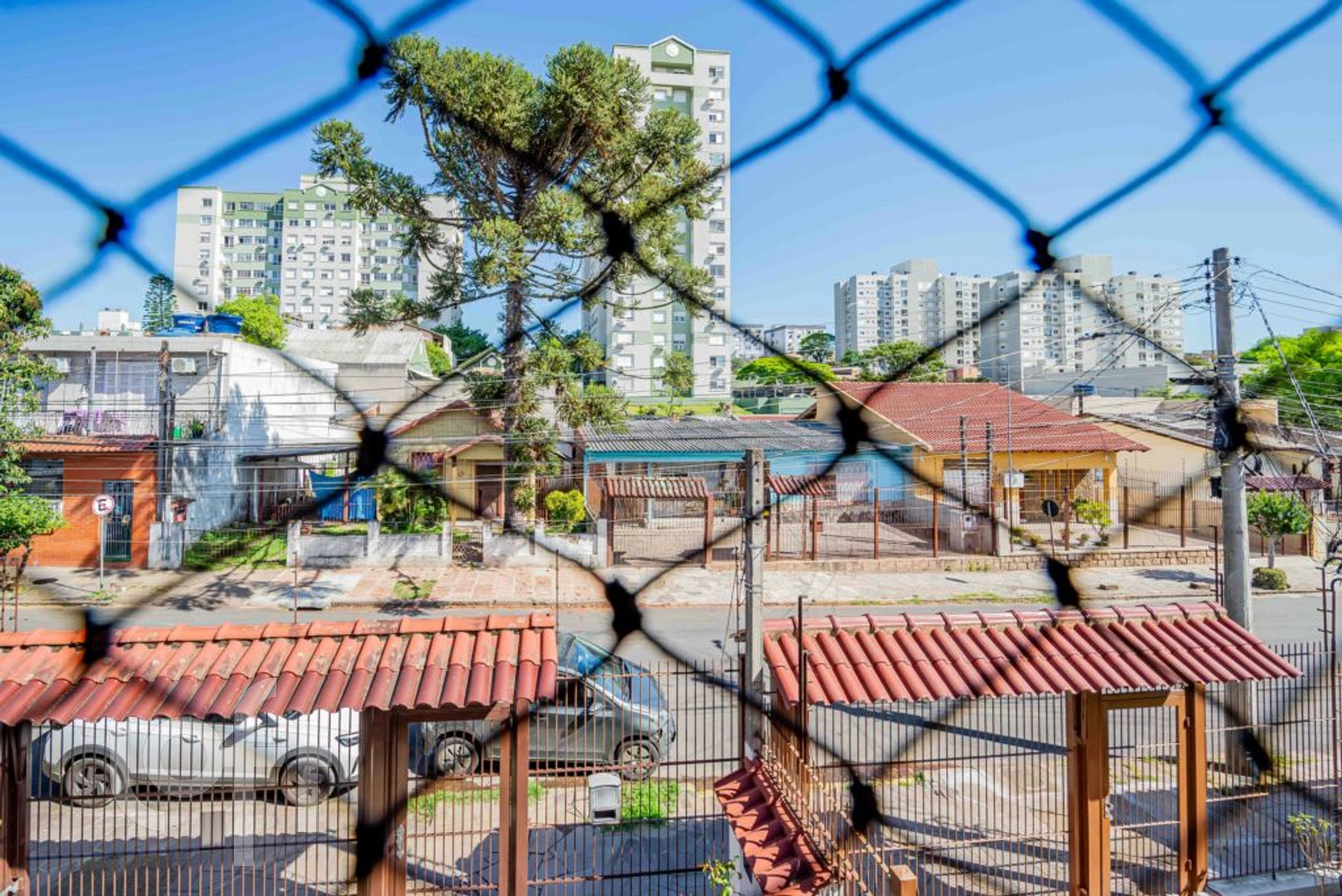 Imagem da propriedade 19