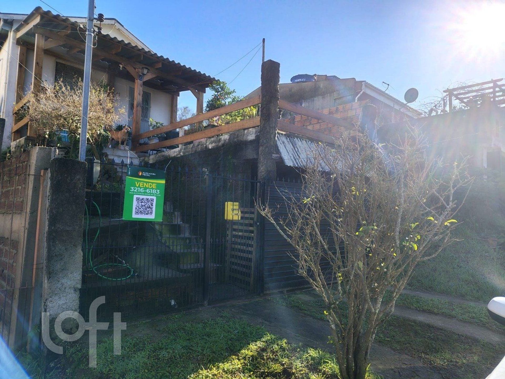 Imagem da propriedade 3