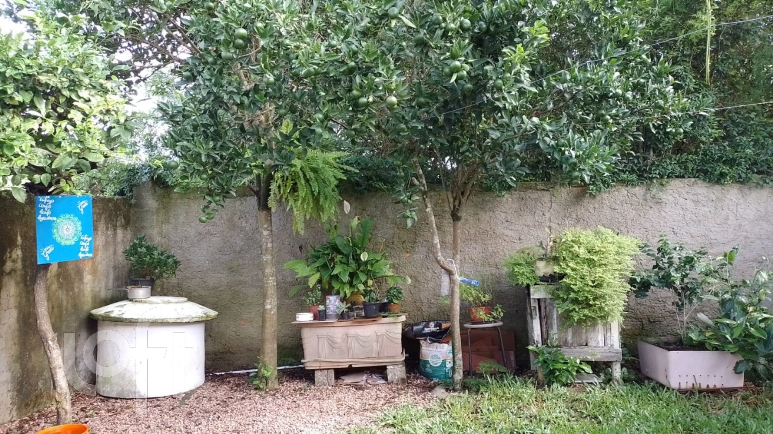 Imagem da propriedade 17