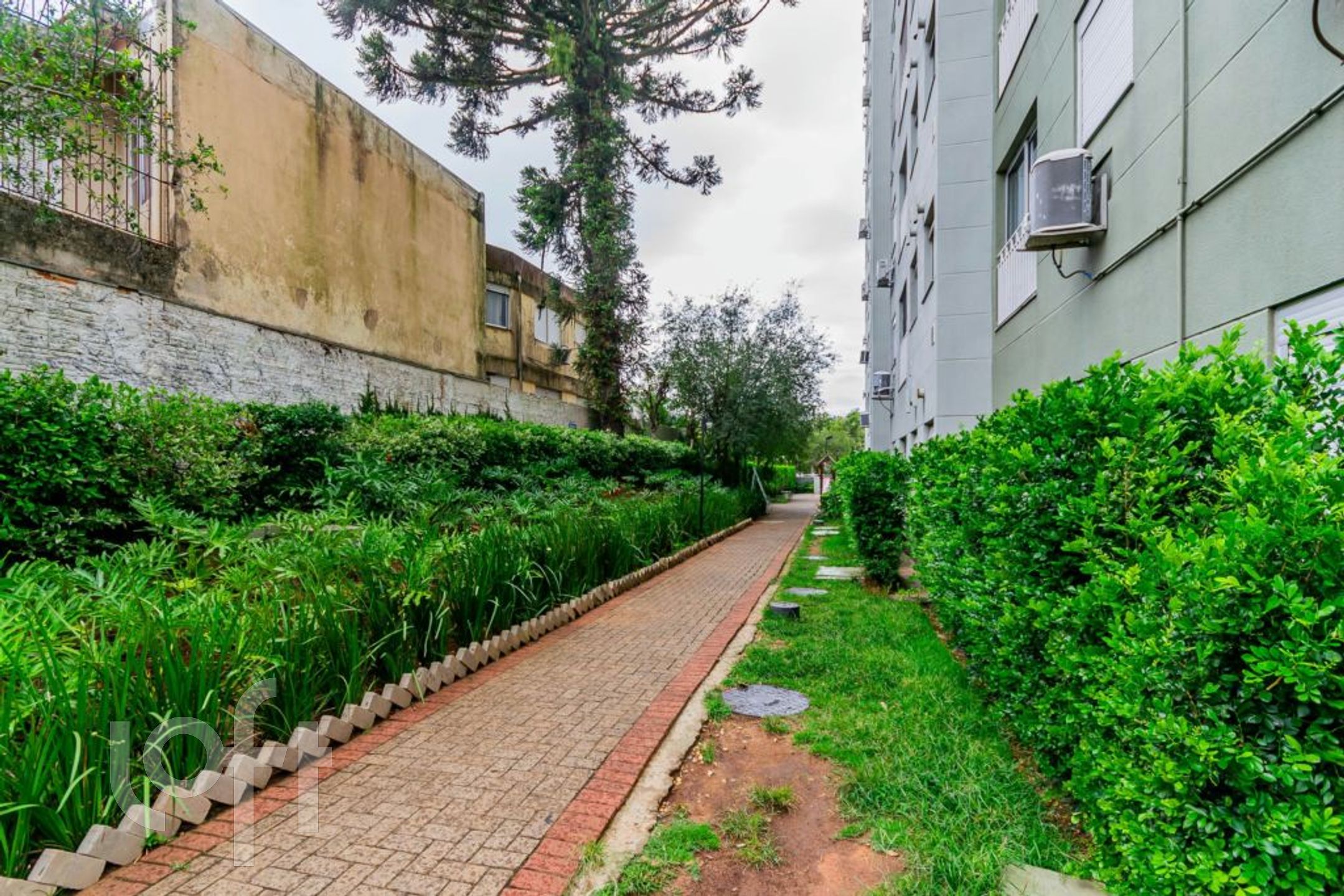 Imagem da propriedade 29