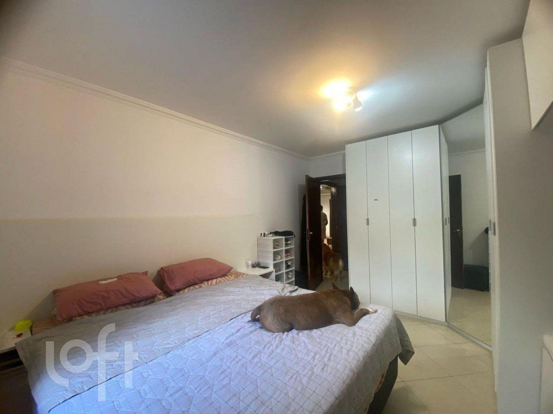 Imagem da propriedade 12