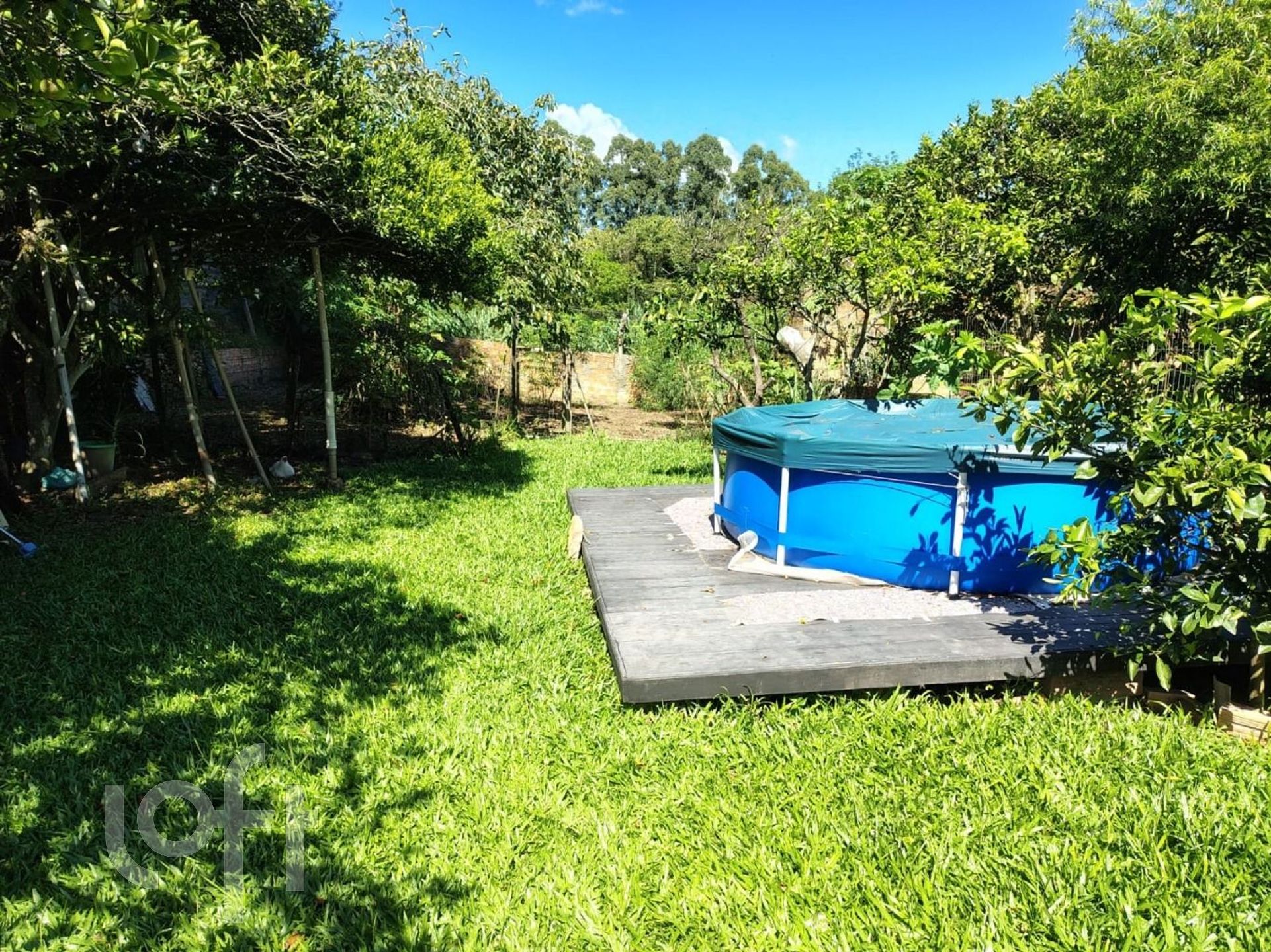 Imagem da propriedade 12