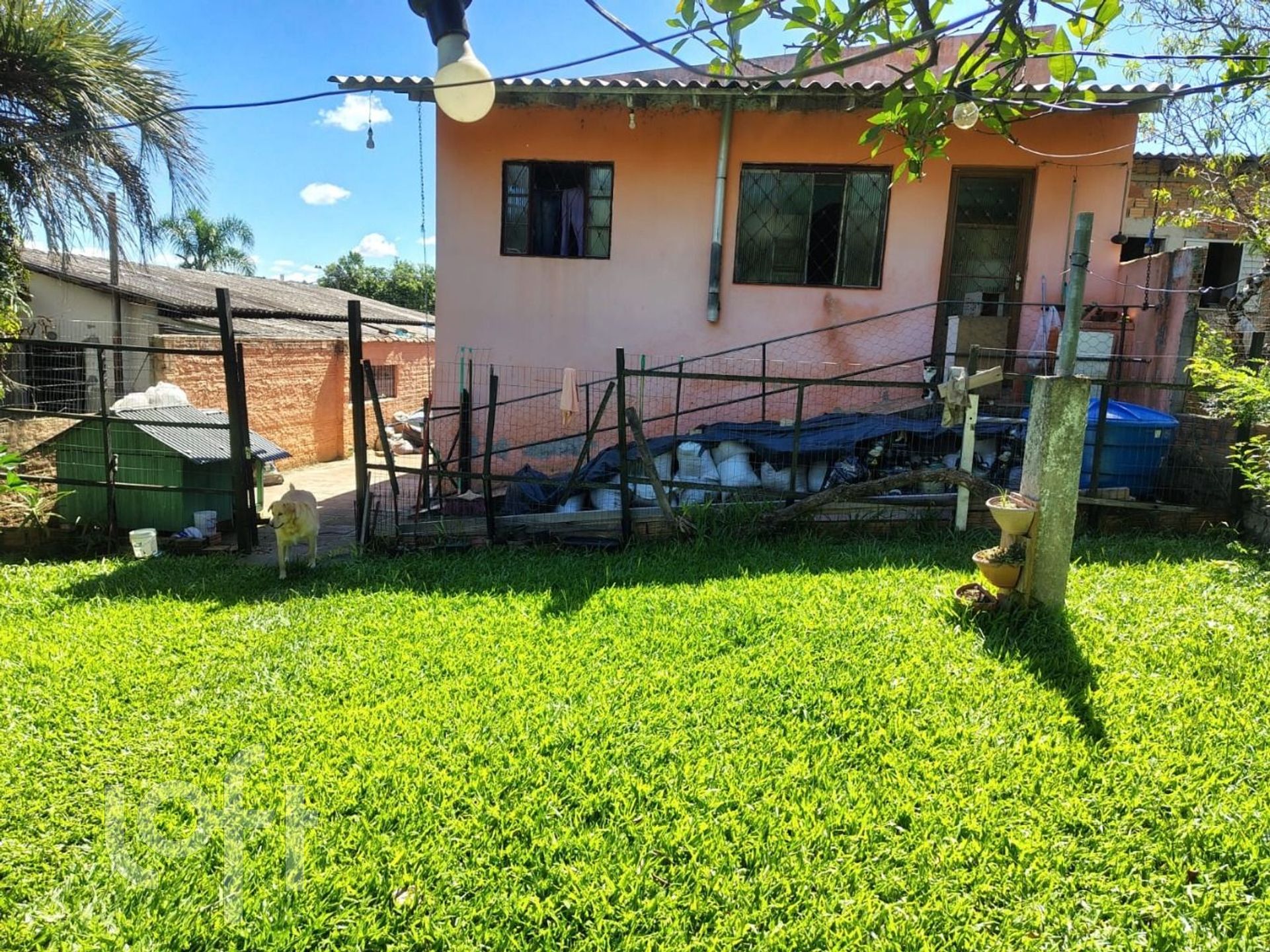 Imagem da propriedade 11