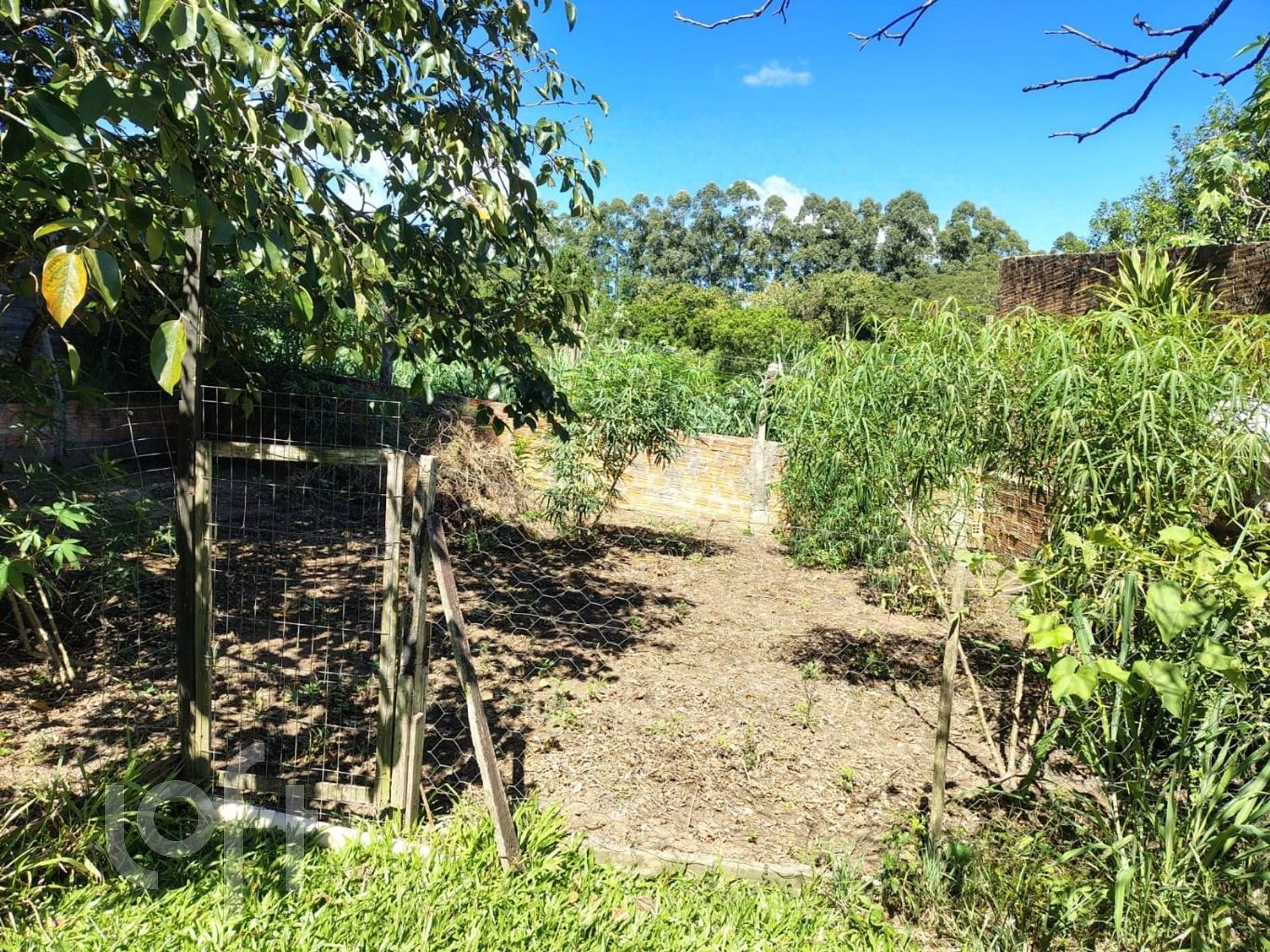 Imagem da propriedade 17