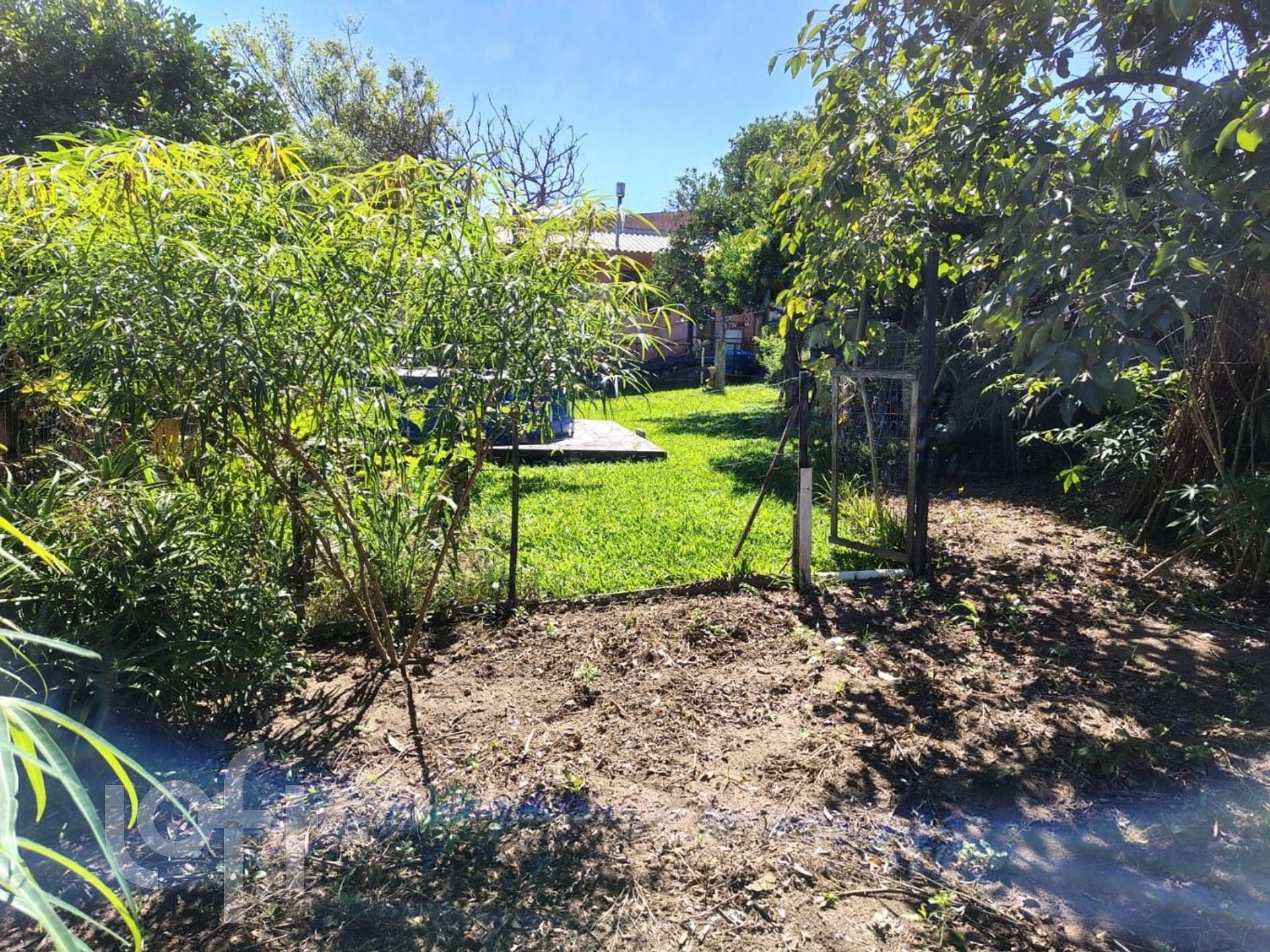 Imagem da propriedade 16