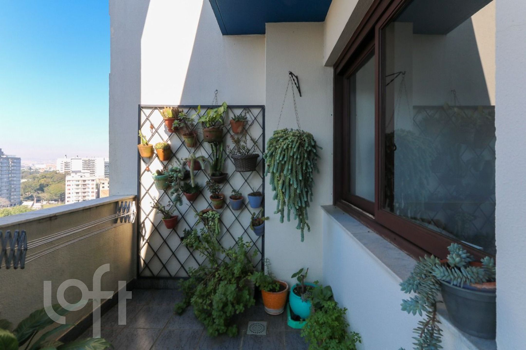 Imagem da propriedade 34