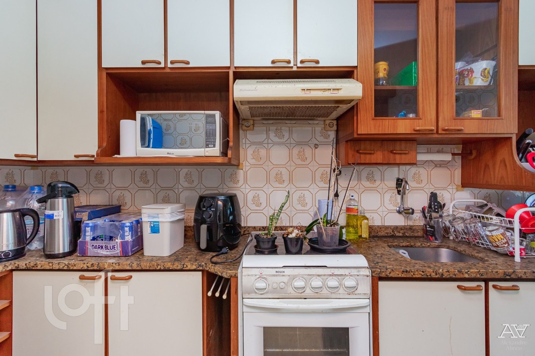 Imagem da propriedade 7