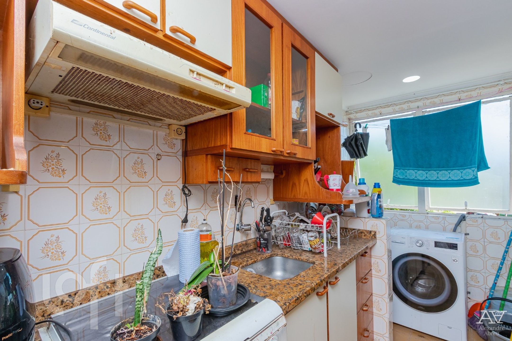 Imagem da propriedade 9