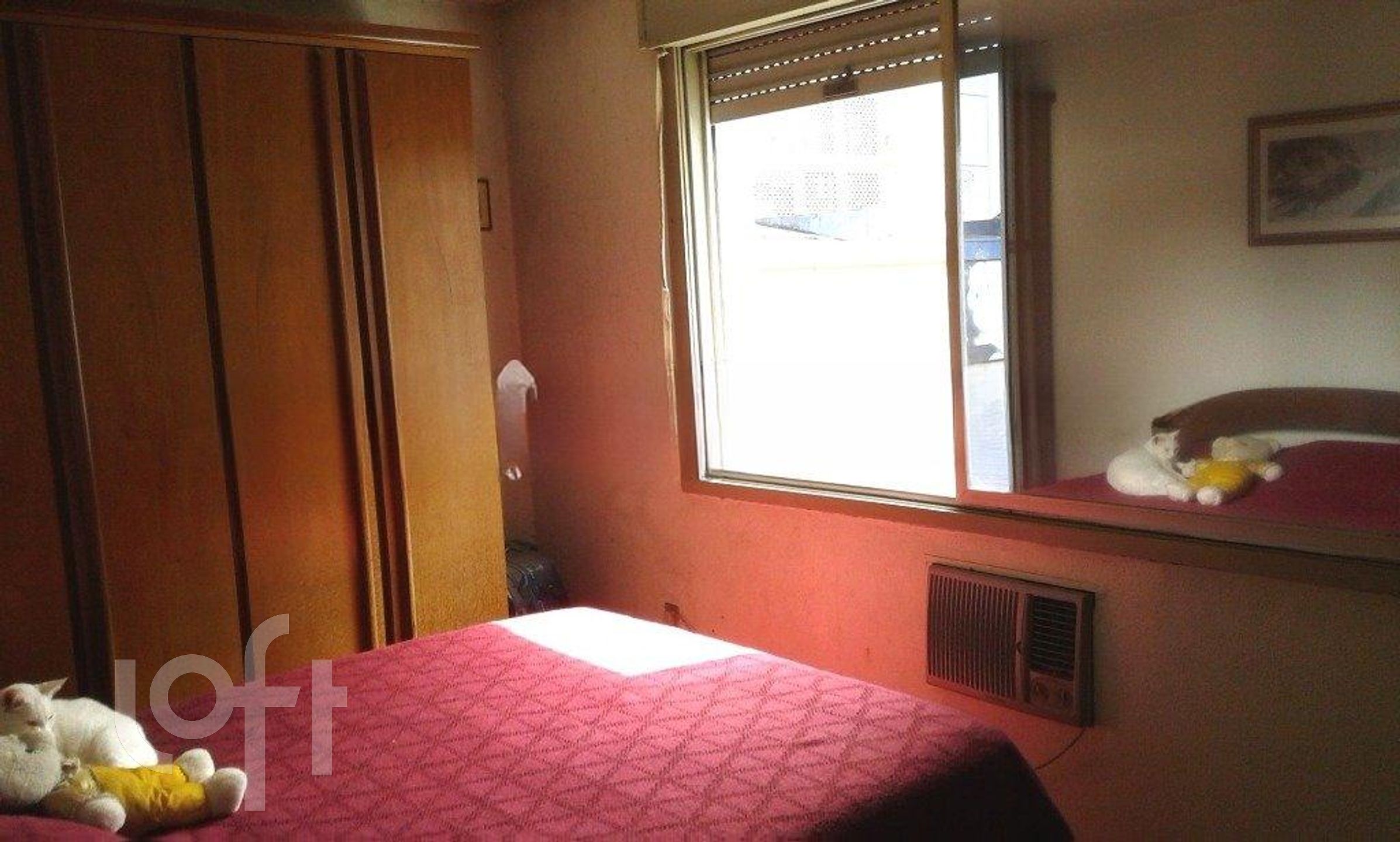 Imagem da propriedade 10