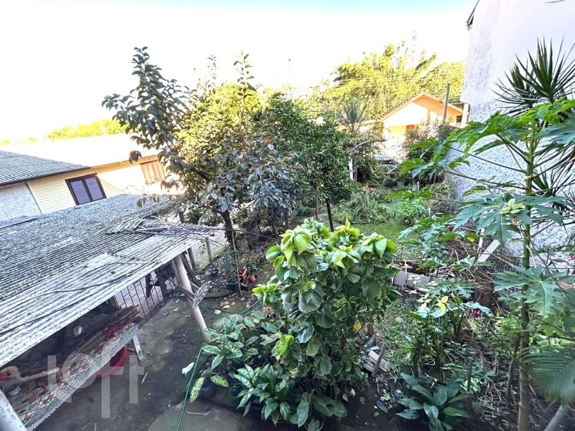 Imagem da propriedade 25