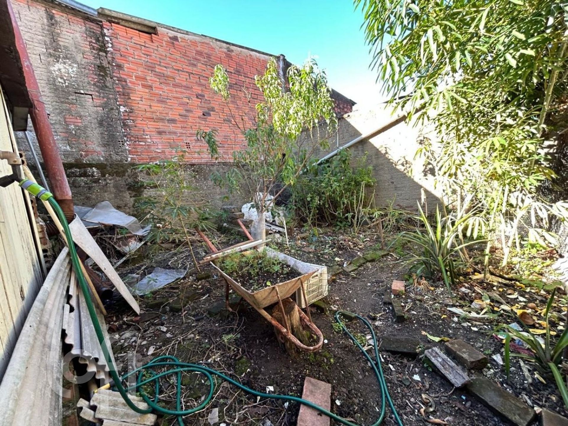 Imagem da propriedade 29