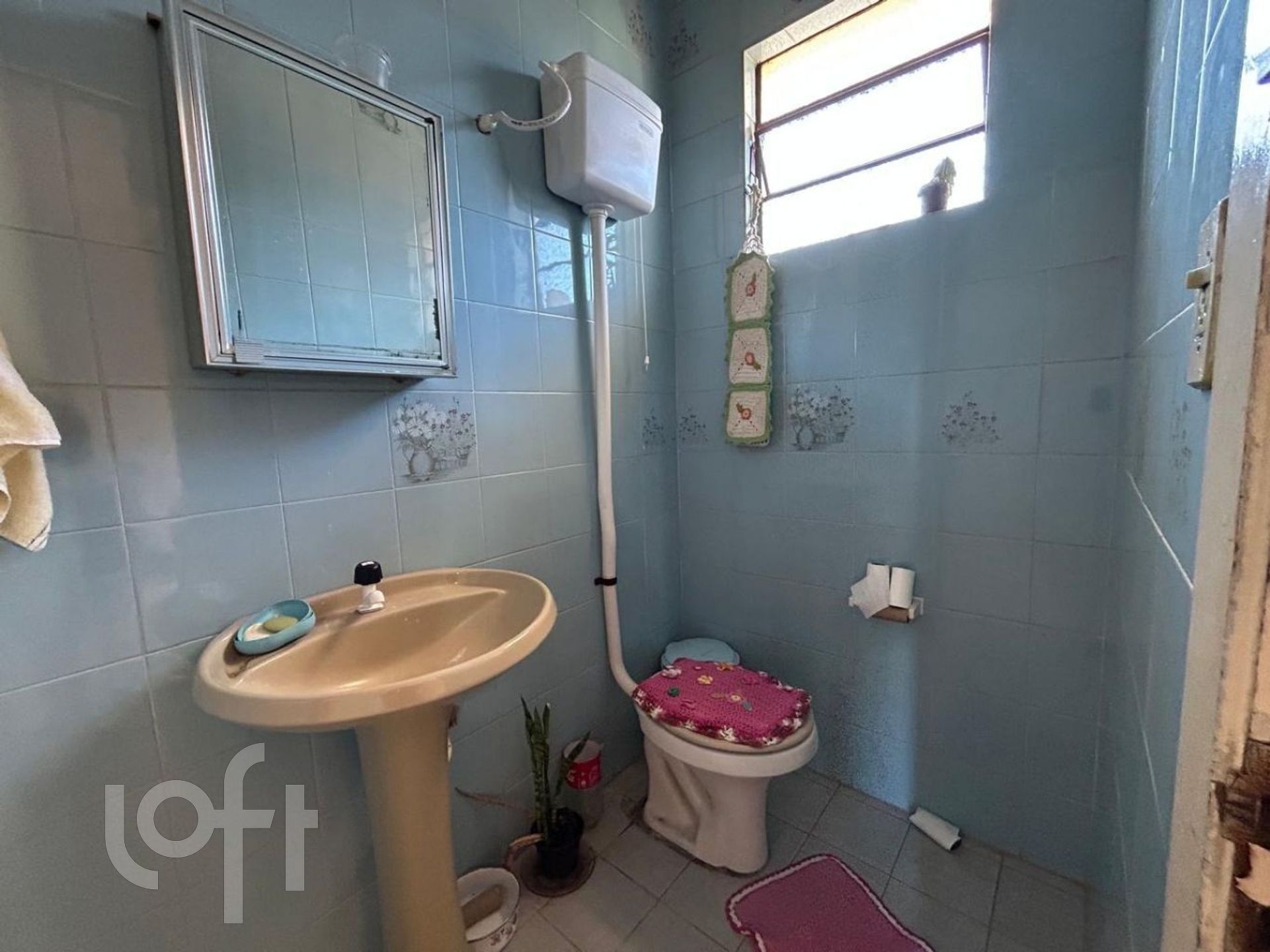 Imagem da propriedade 12