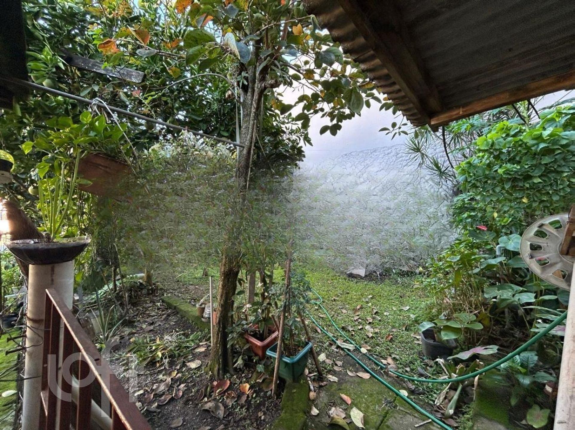 Imagem da propriedade 26