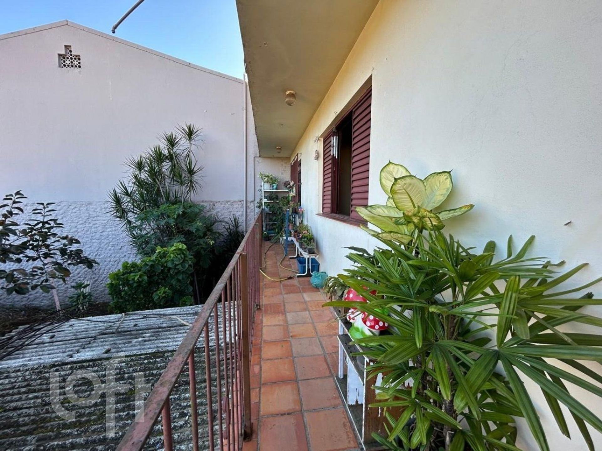 Imagem da propriedade 4