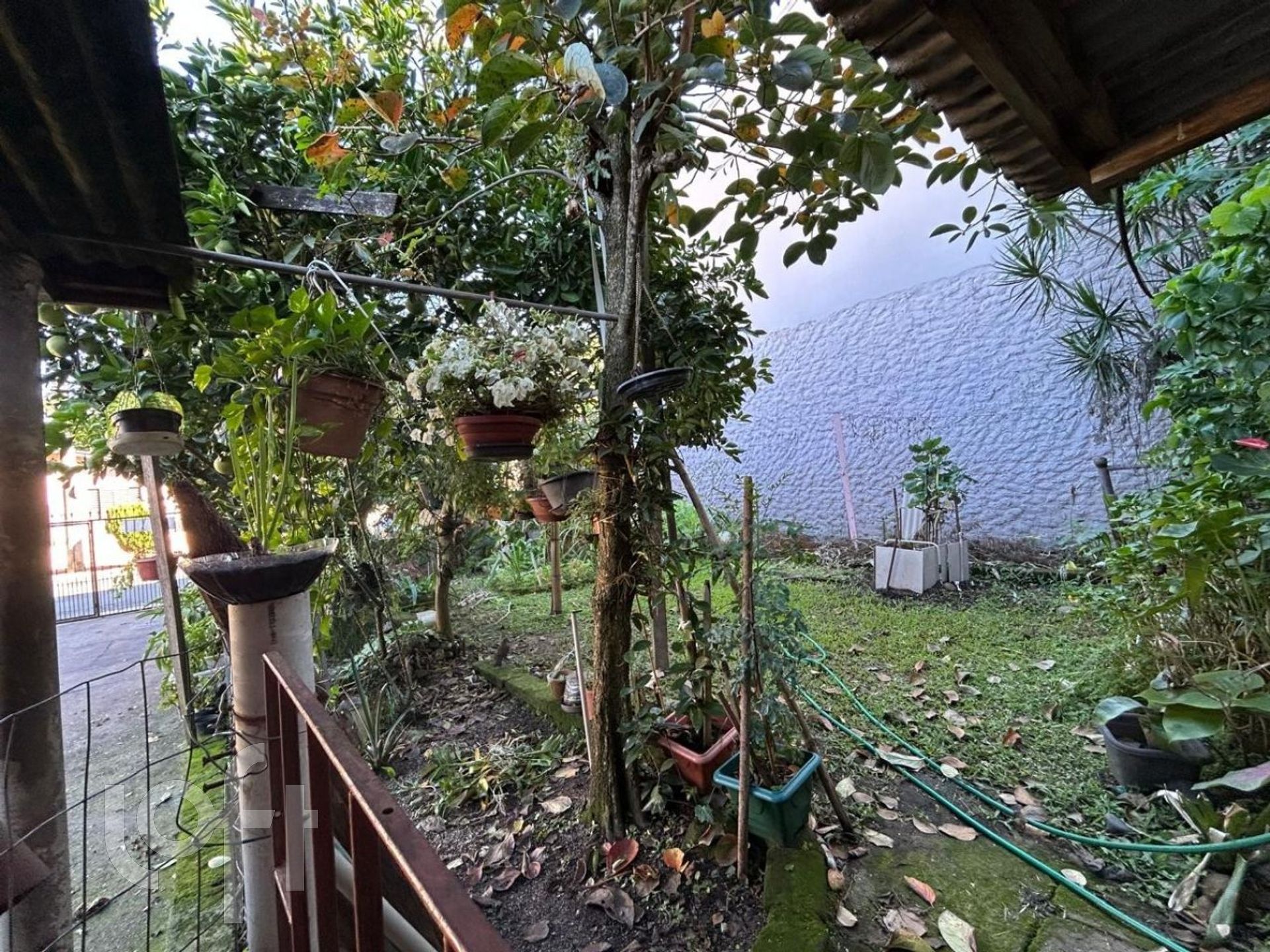 Imagem da propriedade 21