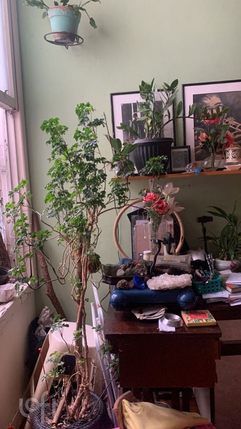 Imagem da propriedade 4