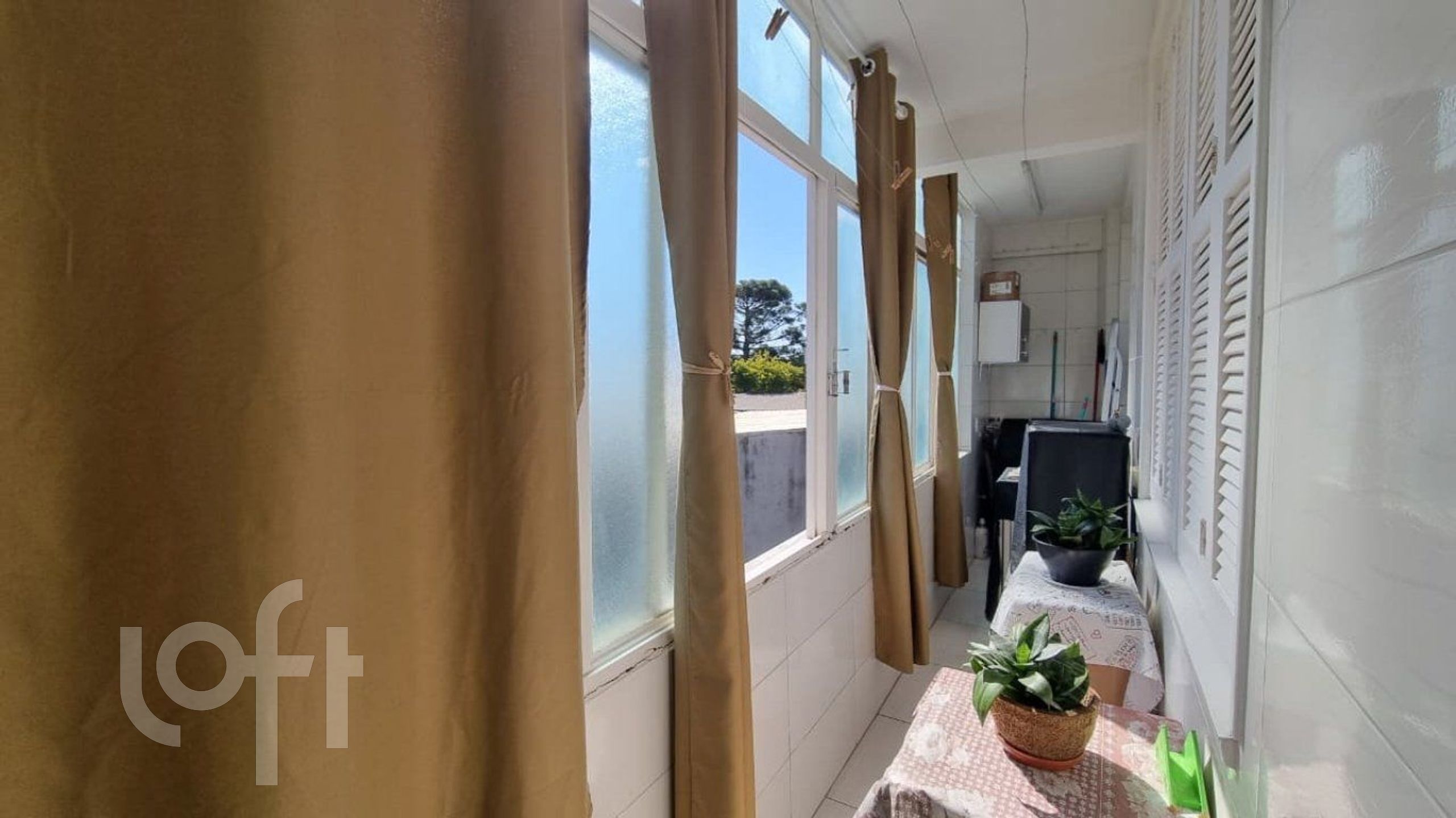 Imagem da propriedade 11